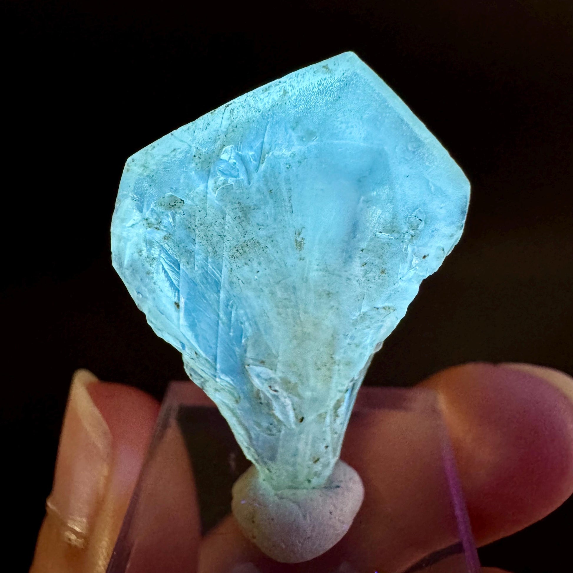 Golden Selenite Blade | Fluorescent UV Reactive Gypsum Crystal