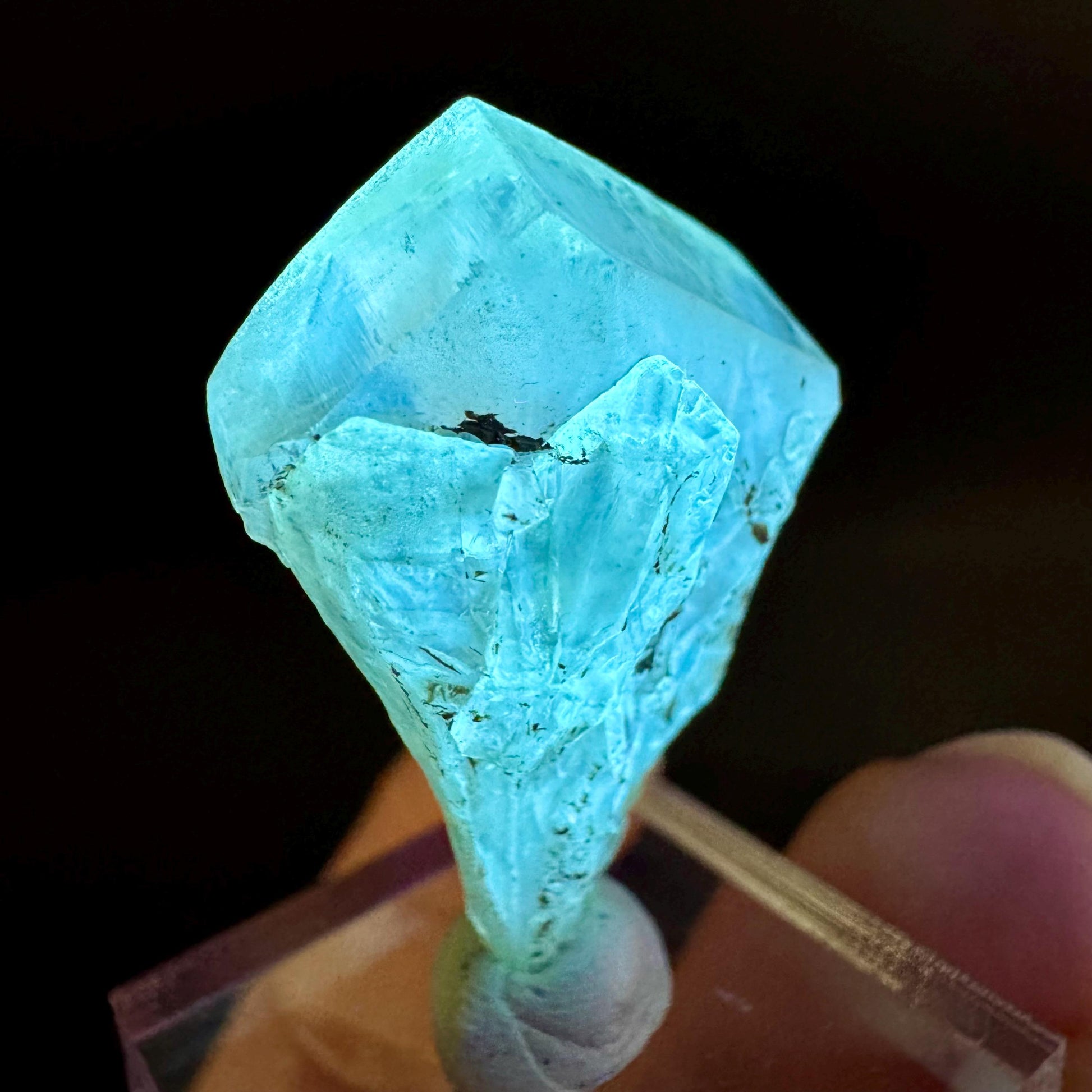 Golden Selenite Blade | Fluorescent UV Reactive Gypsum Crystal