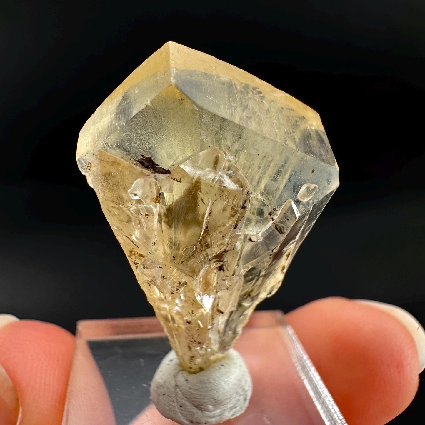 Golden Selenite Blade | Fluorescent UV Reactive Gypsum Crystal