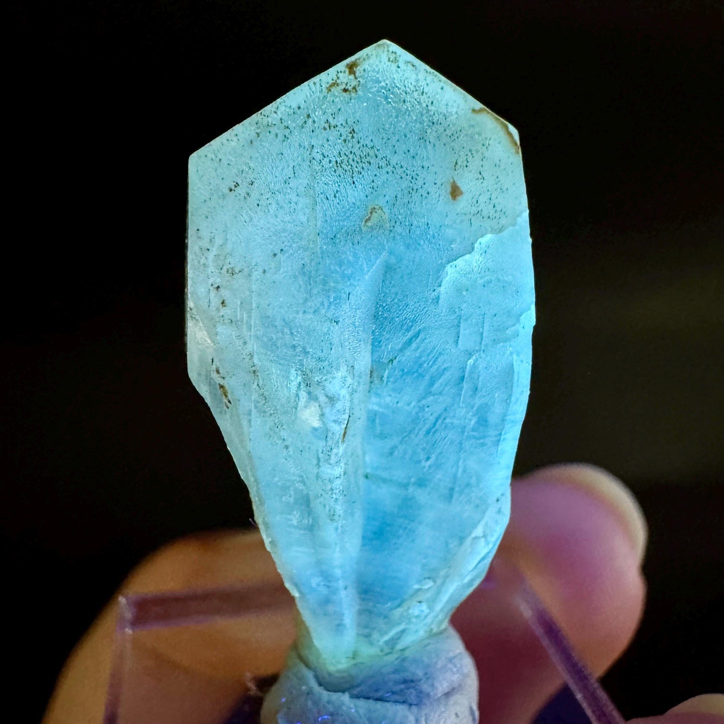 Golden Selenite Blade | Fluorescent UV Reactive Gypsum Crystal