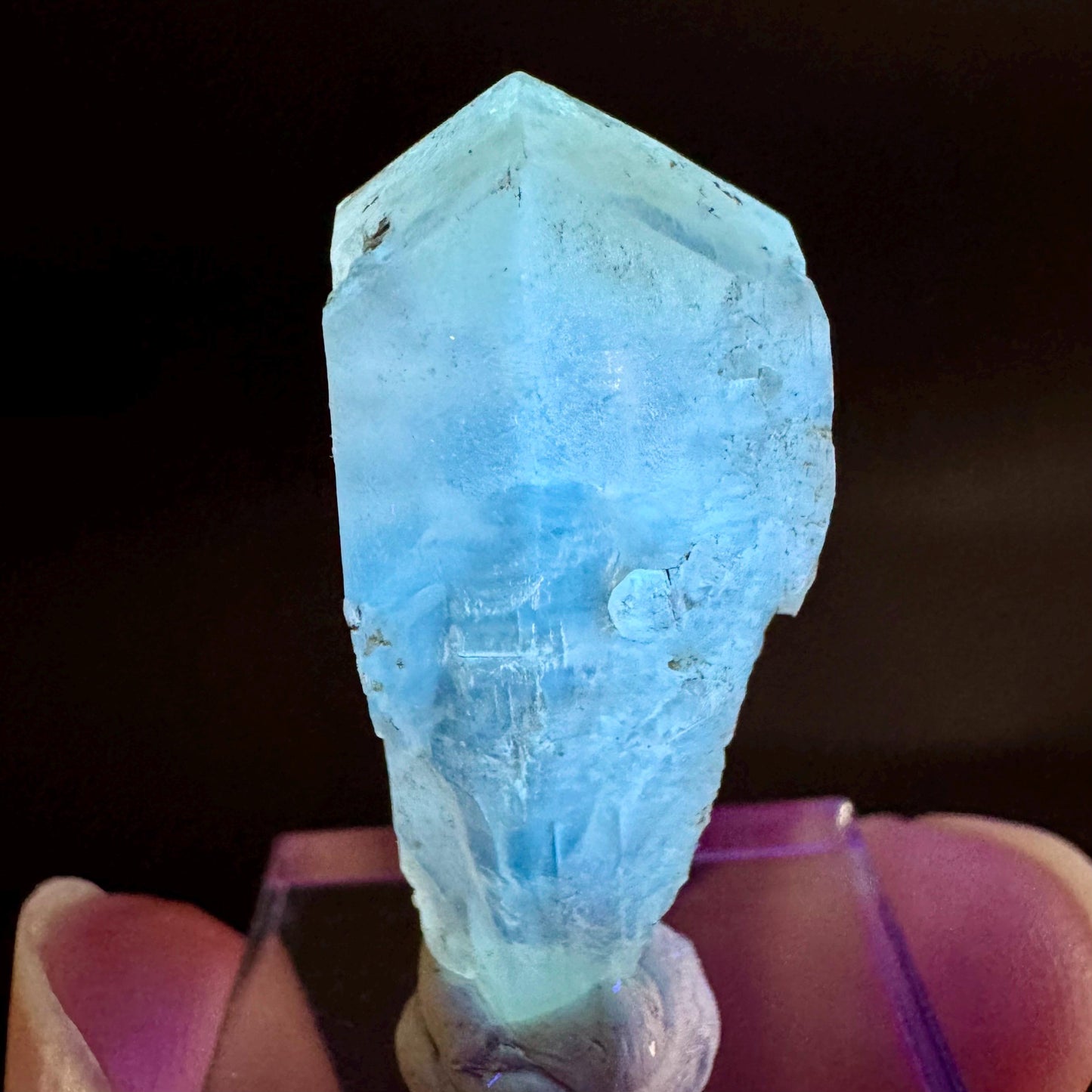 Golden Selenite Blade | Fluorescent UV Reactive Gypsum Crystal