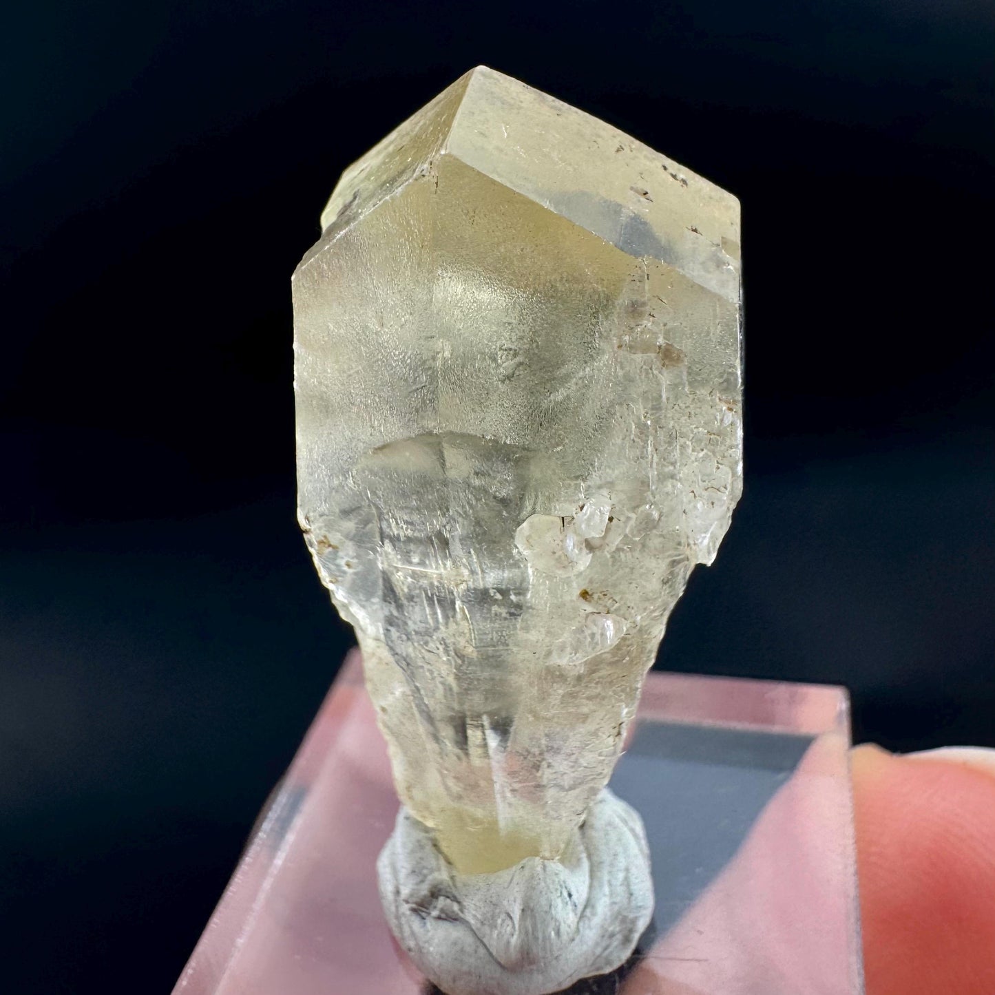 Golden Selenite Blade | Fluorescent UV Reactive Gypsum Crystal