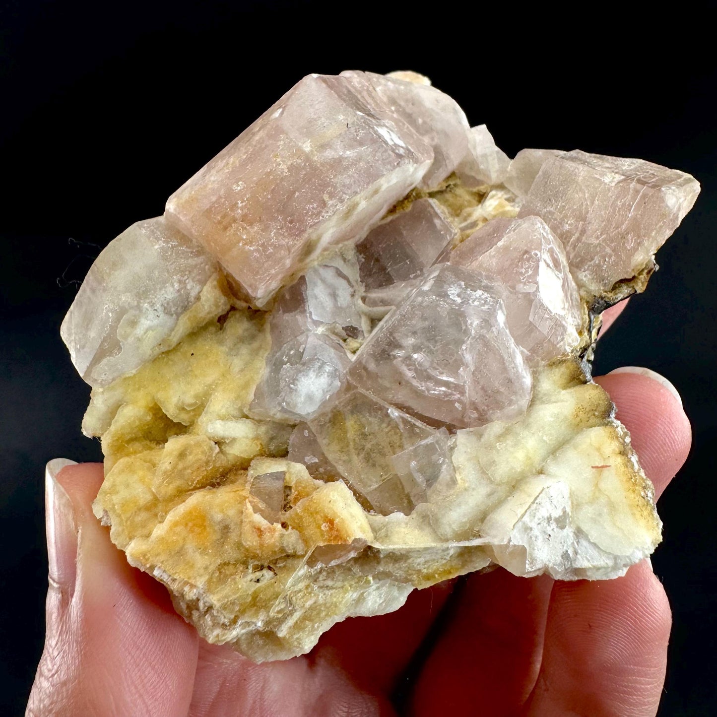 Pink Fluorapatite on Albite | UV reactive crystal, rare mineral specimen from Pakistan