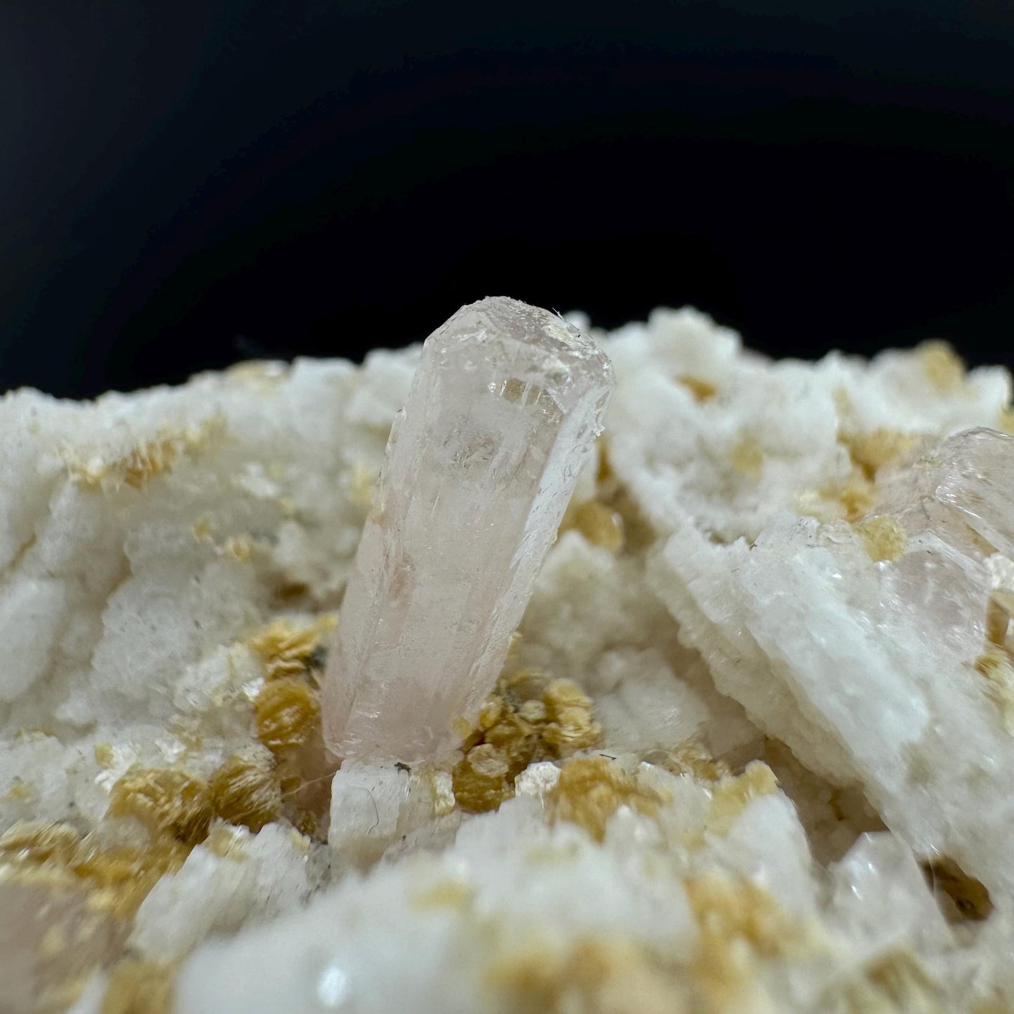 Pink Fluorapatite on Albite | UV reactive crystal, rare mineral specimen from Pakistan