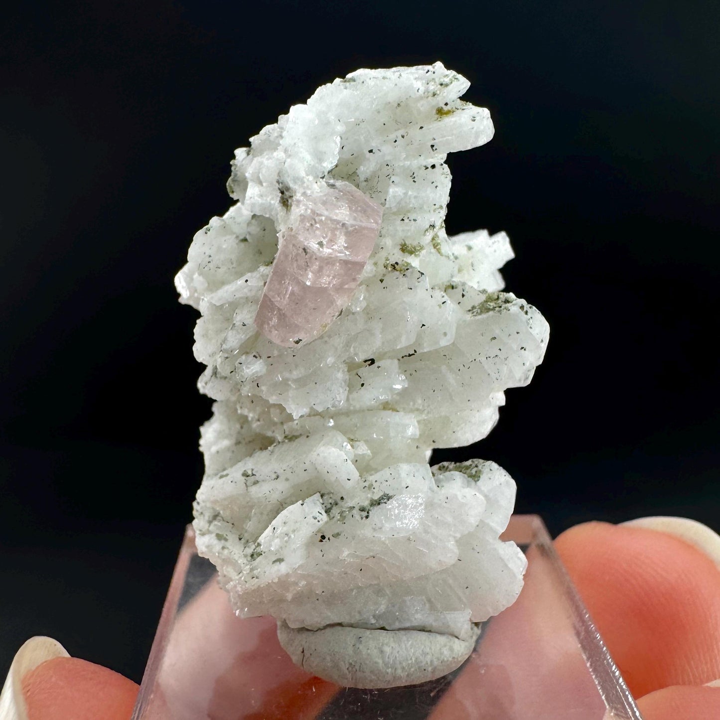 Pink Fluorapatite on Albite | UV reactive crystal, rare mineral specimen from Pakistan