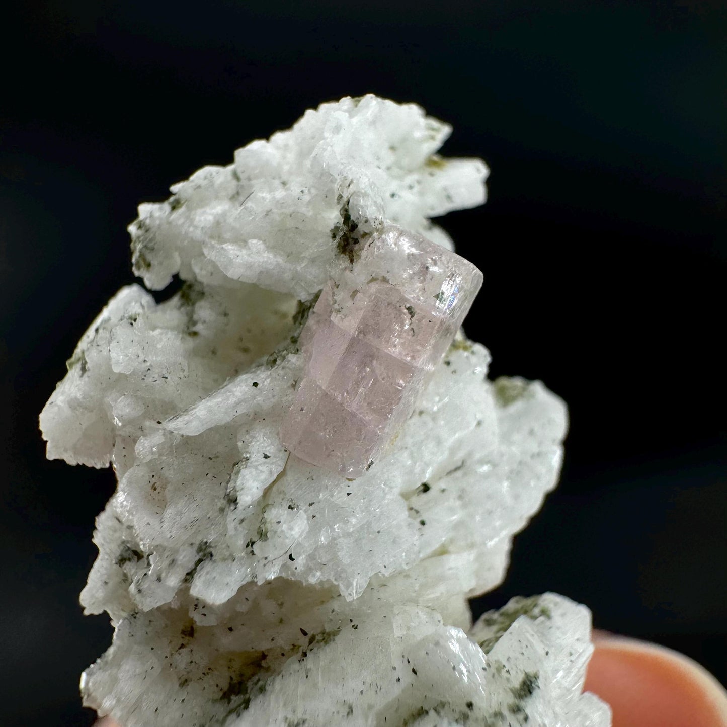 Pink Fluorapatite on Albite | UV reactive crystal, rare mineral specimen from Pakistan