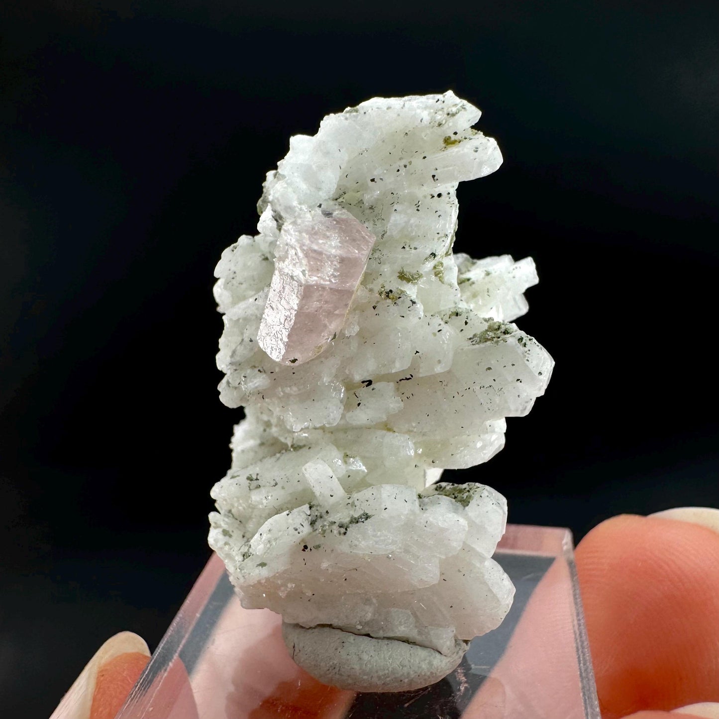 Pink Fluorapatite on Albite | UV reactive crystal, rare mineral specimen from Pakistan