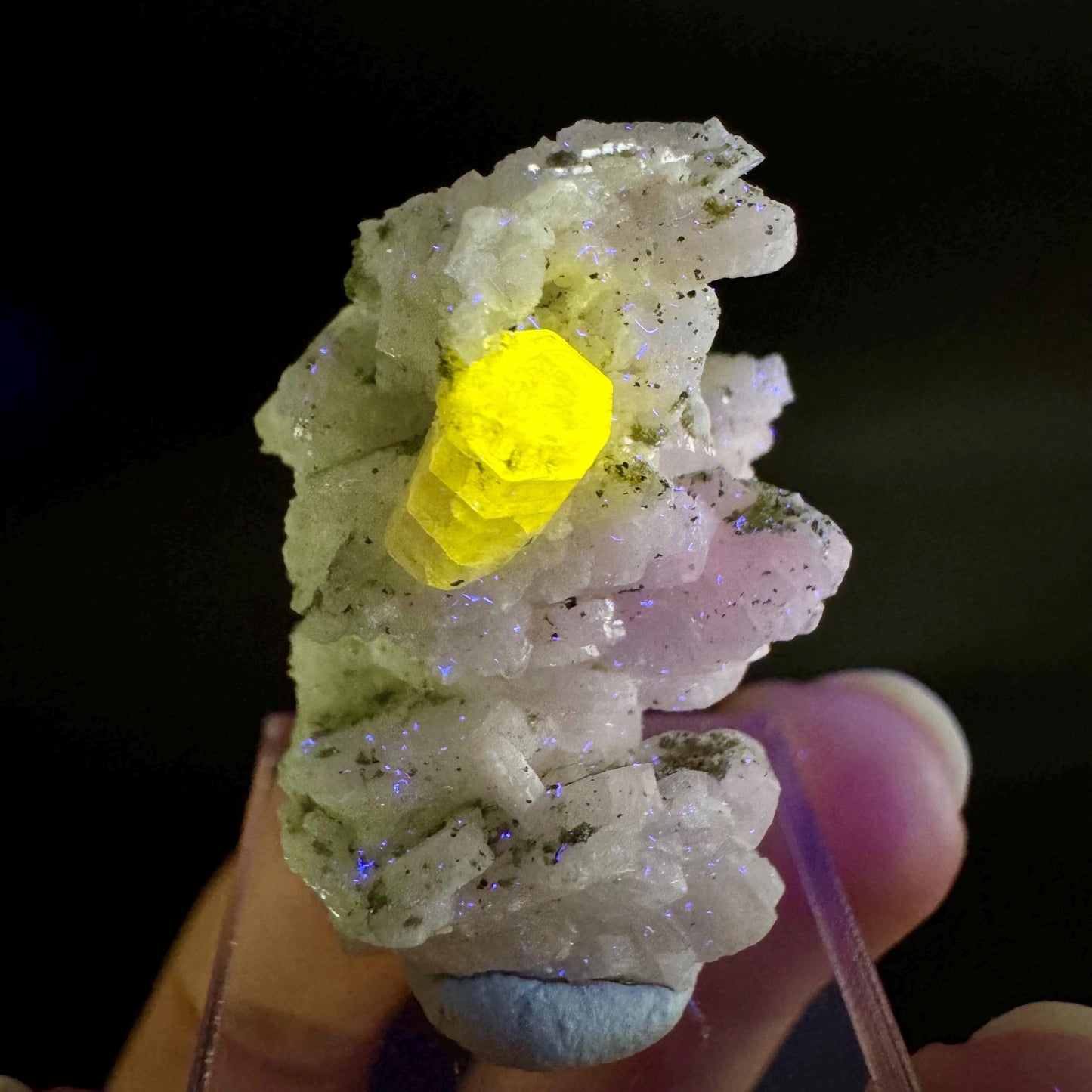 Pink Fluorapatite on Albite | UV reactive crystal, rare mineral specimen from Pakistan
