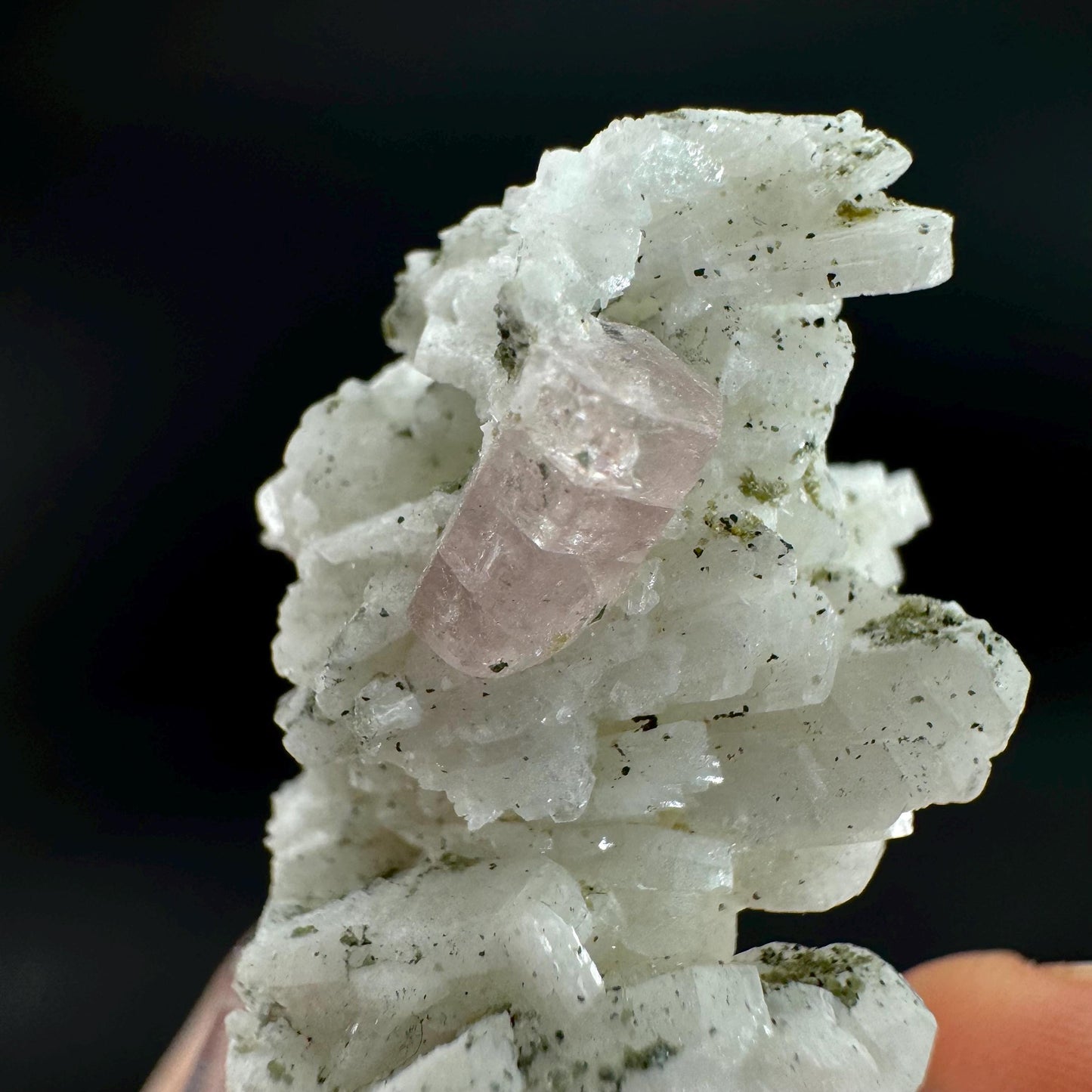 Pink Fluorapatite on Albite | UV reactive crystal, rare mineral specimen from Pakistan