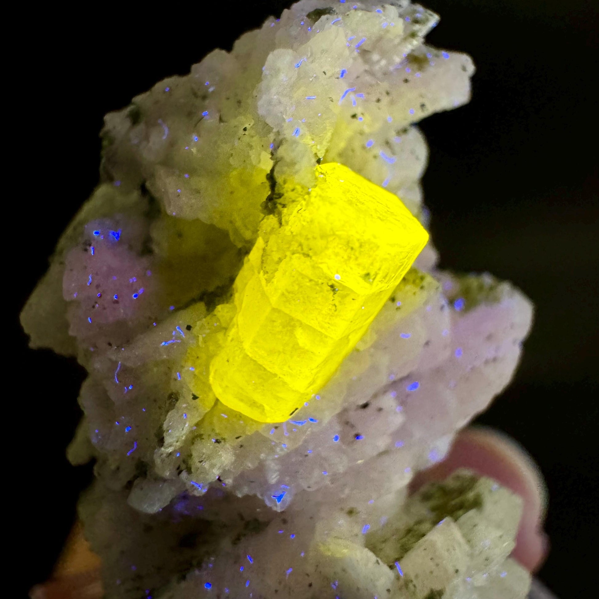Pink Fluorapatite on Albite | UV reactive crystal, rare mineral specimen from Pakistan