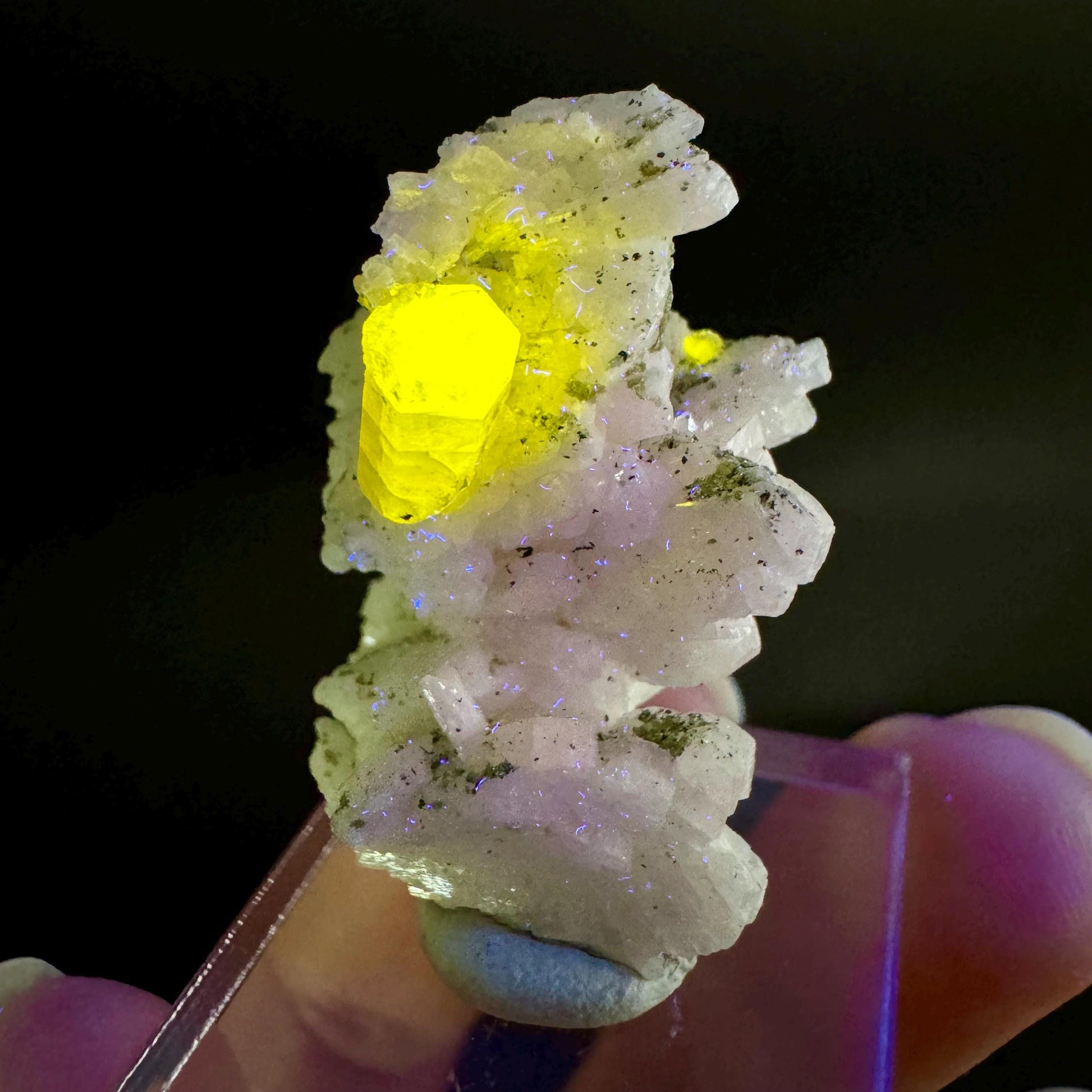 Pink Fluorapatite on Albite | UV reactive crystal, rare mineral specimen from Pakistan