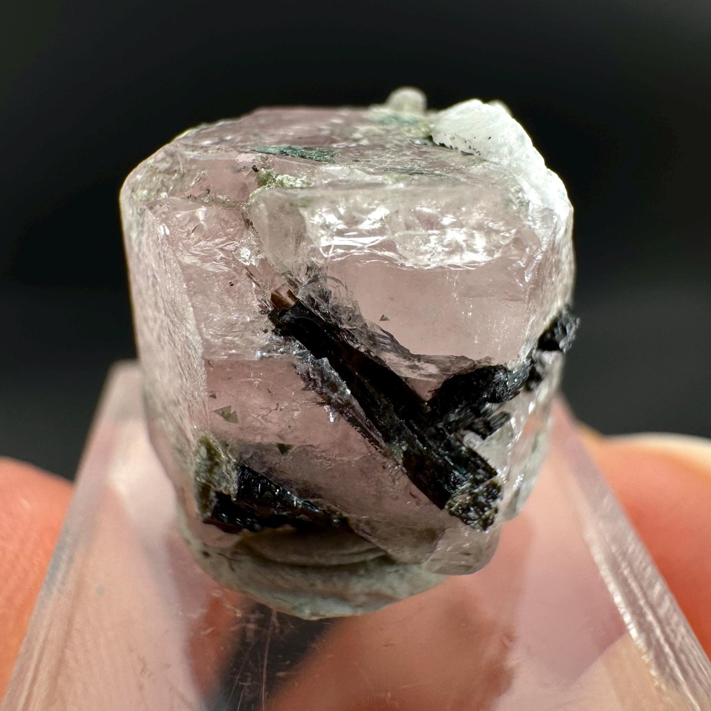 Pink Fluorapatite with Black Tourmaline | UV reactive crystal, rare mineral specimen from Pakistan
