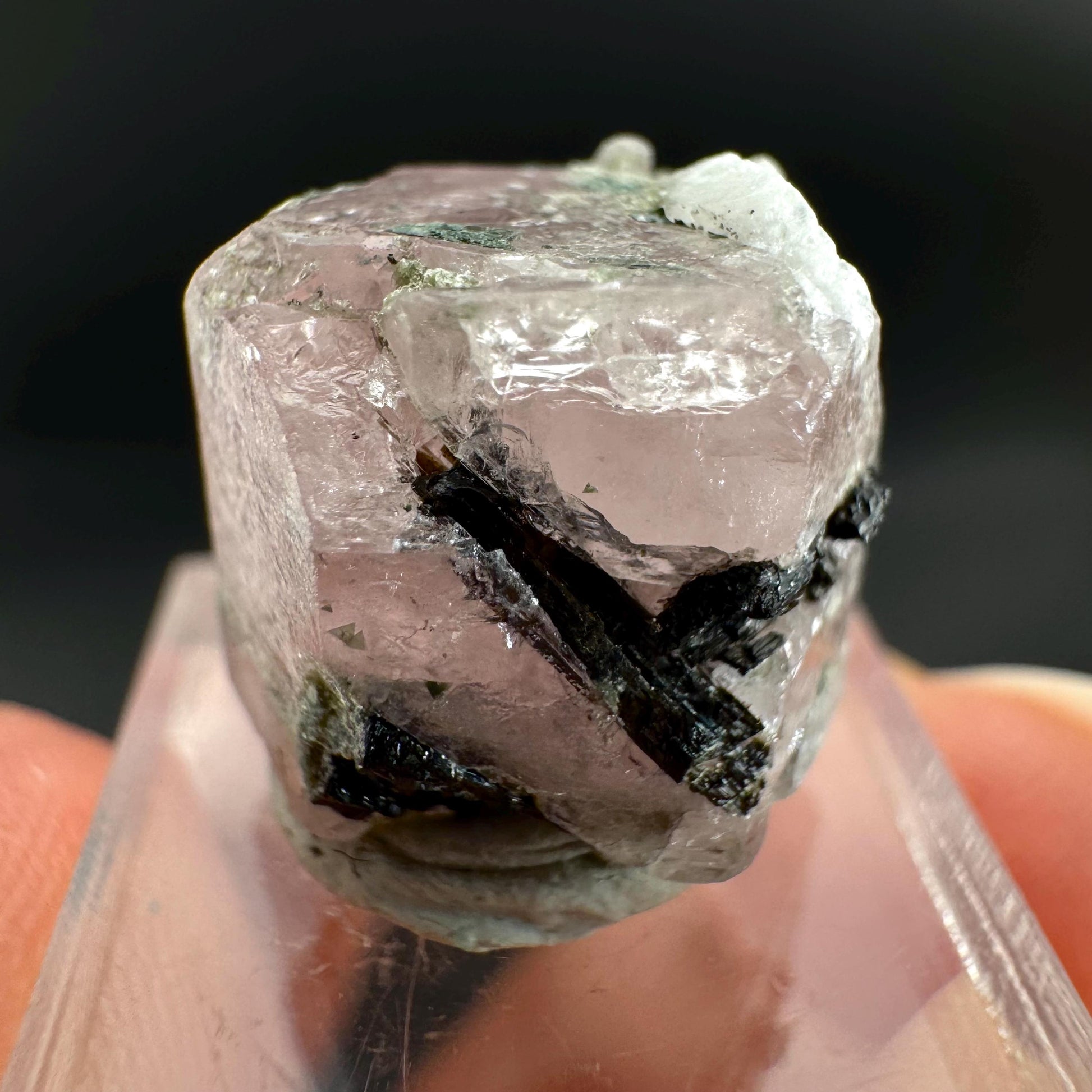 Pink Fluorapatite with Black Tourmaline | UV reactive crystal, rare mineral specimen from Pakistan