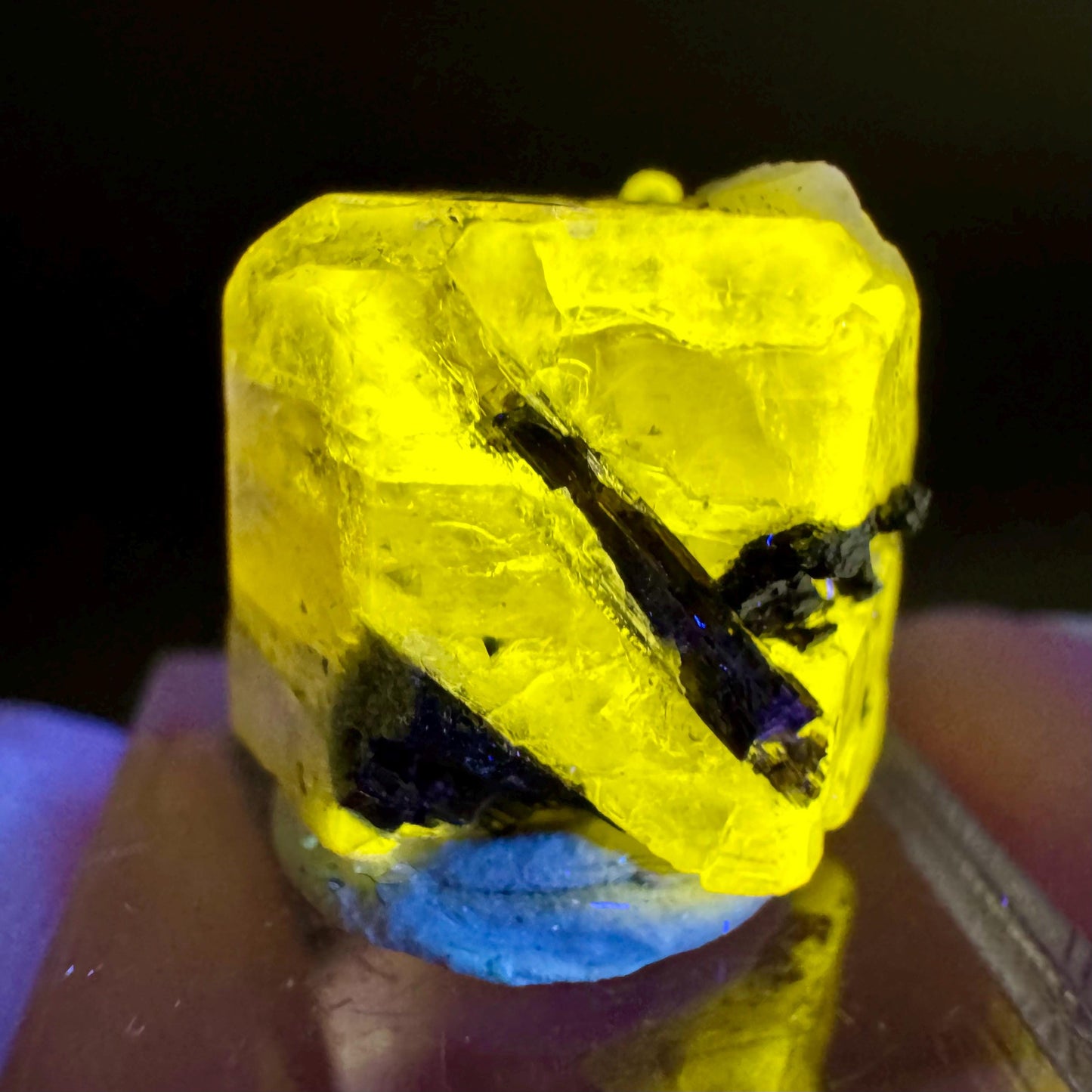 Pink Fluorapatite with Black Tourmaline | UV reactive crystal, rare mineral specimen from Pakistan