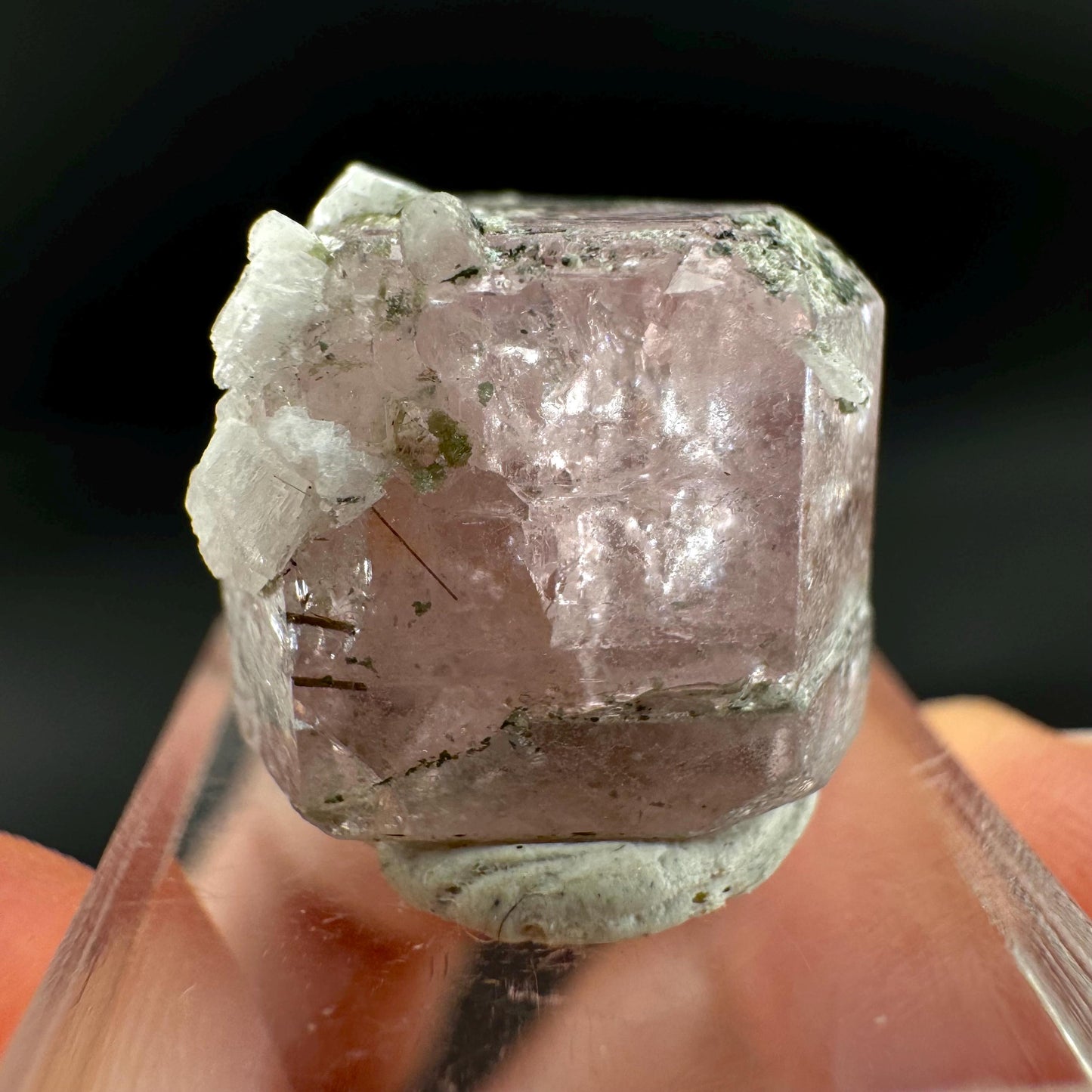 Pink Fluorapatite with Black Tourmaline | UV reactive crystal, rare mineral specimen from Pakistan