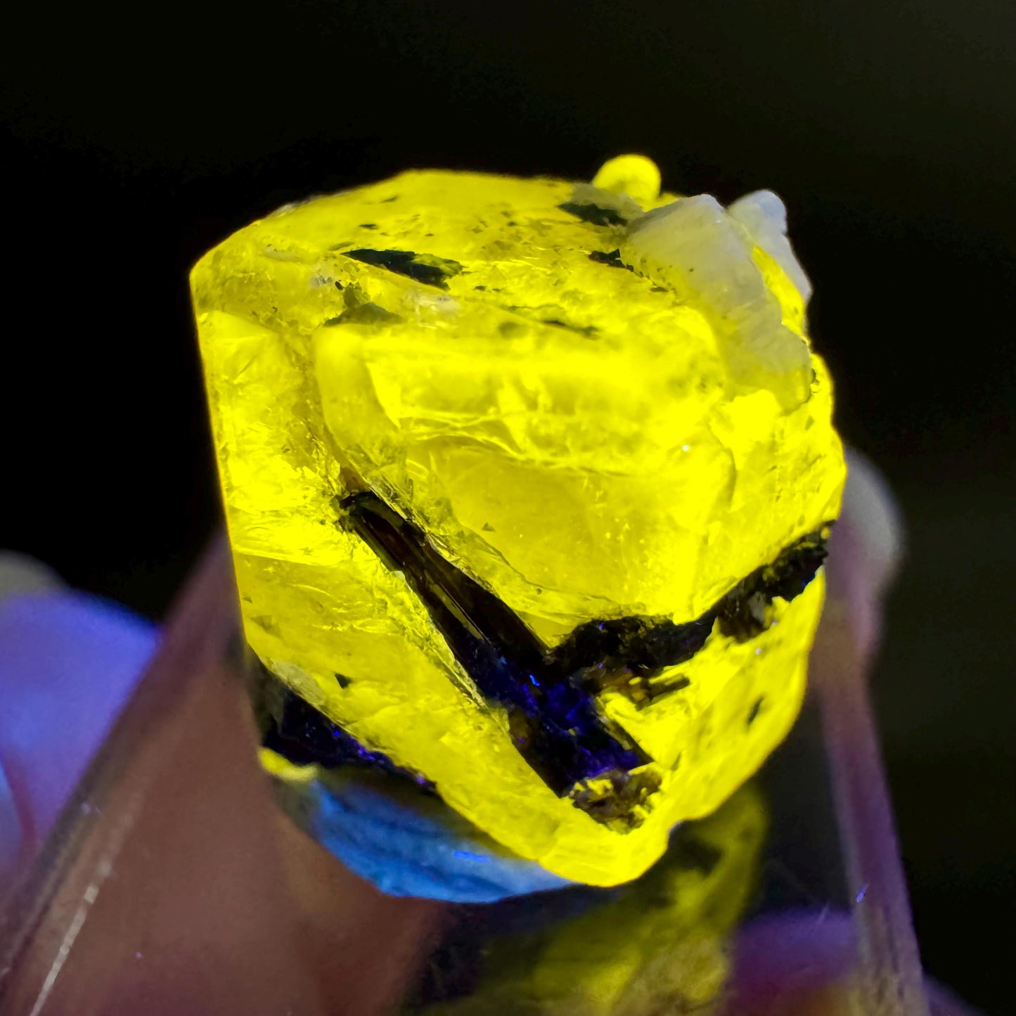 Pink Fluorapatite with Black Tourmaline | UV reactive crystal, rare mineral specimen from Pakistan