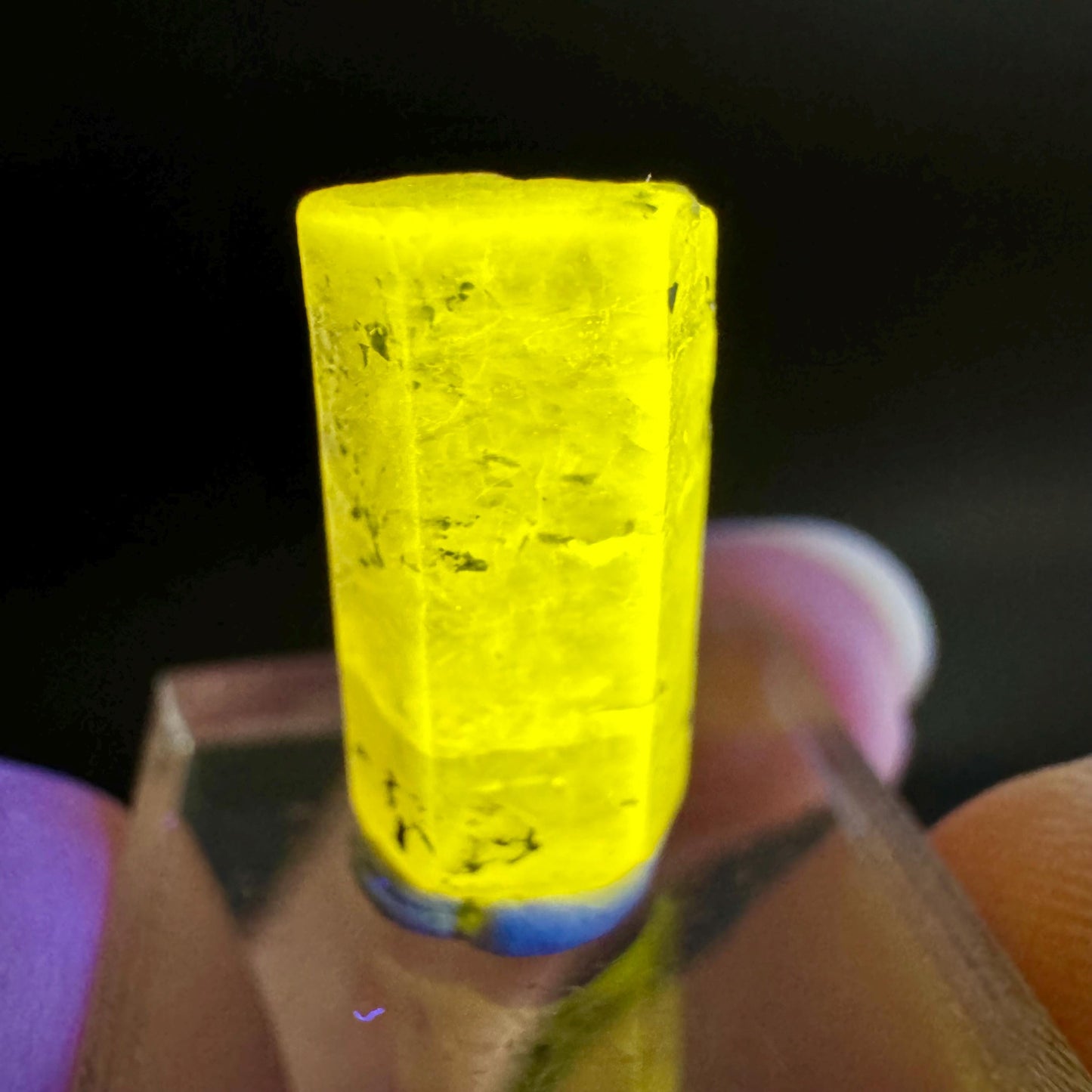 Pink Fluorapatite Crystal | UV reactive Mineral Specimen from Pakistan