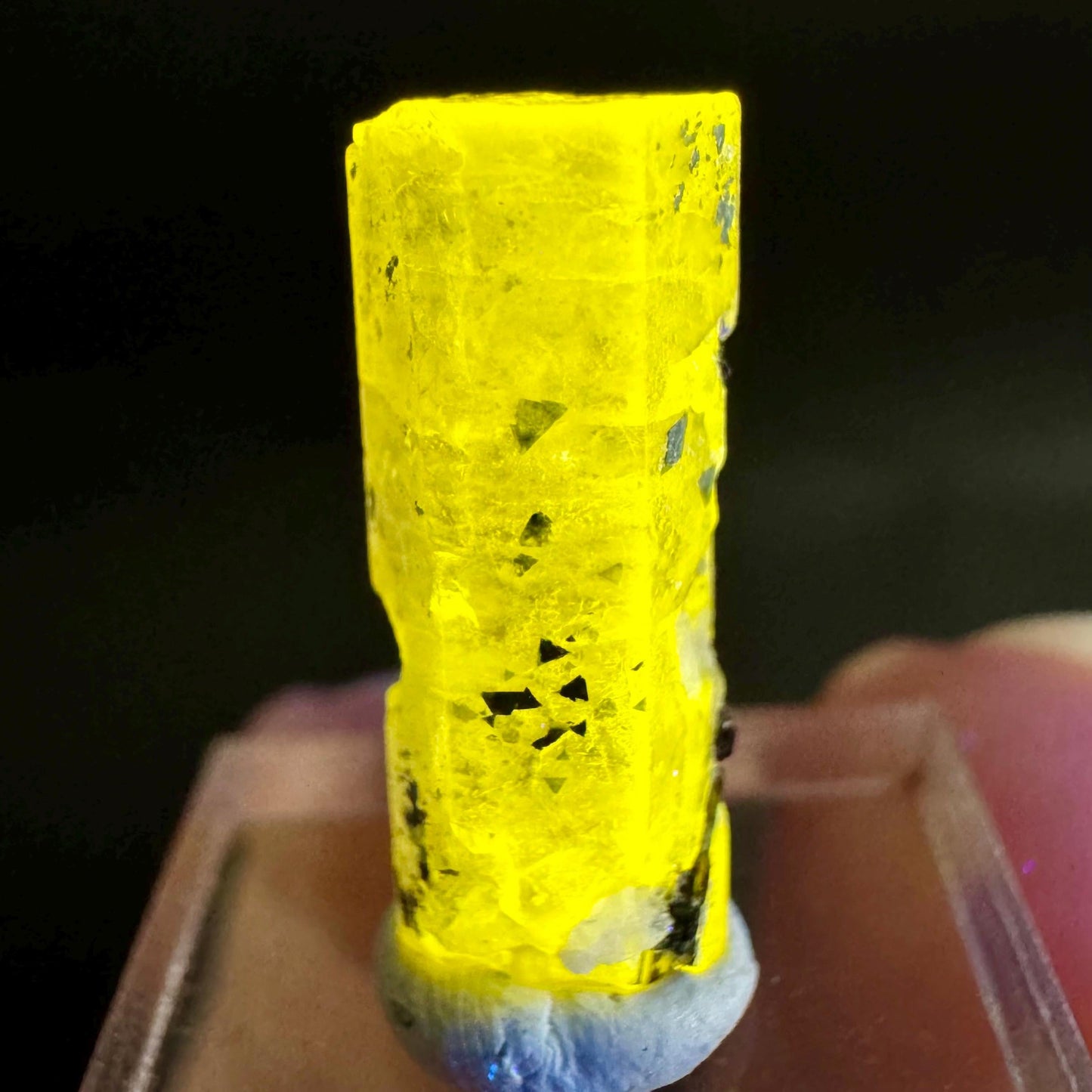 Pink Fluorapatite with Black Tourmaline | UV reactive crystal, rare mineral specimen from Pakistan