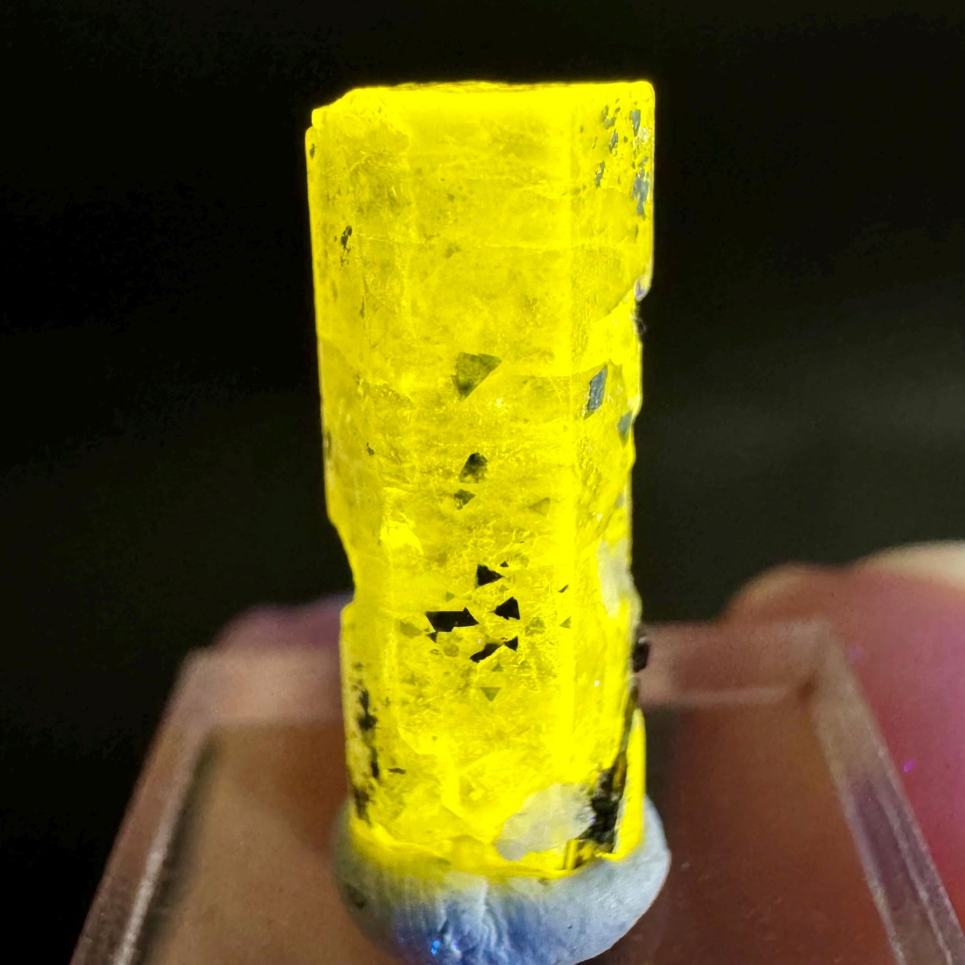 Pink Fluorapatite with Black Tourmaline | UV reactive crystal, rare mineral specimen from Pakistan