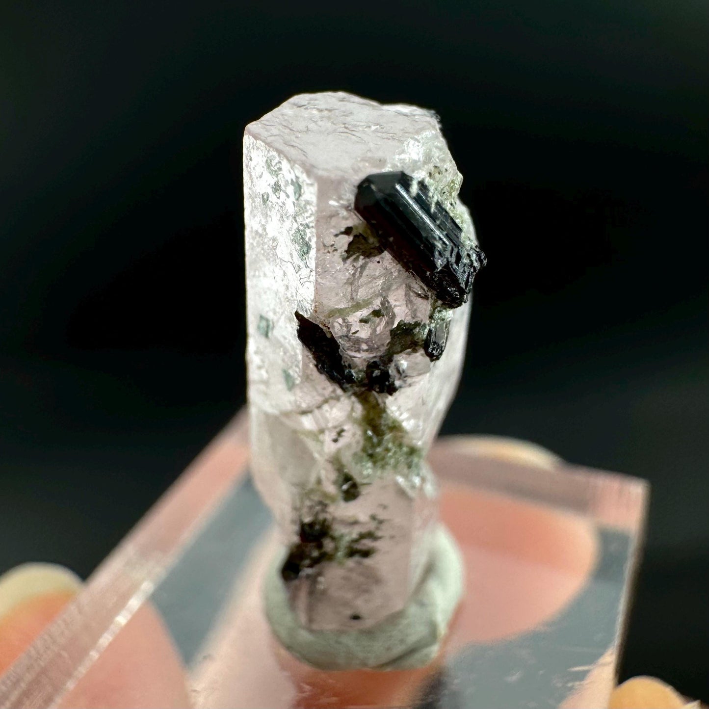 Pink Fluorapatite with Black Tourmaline | UV reactive crystal, rare mineral specimen from Pakistan