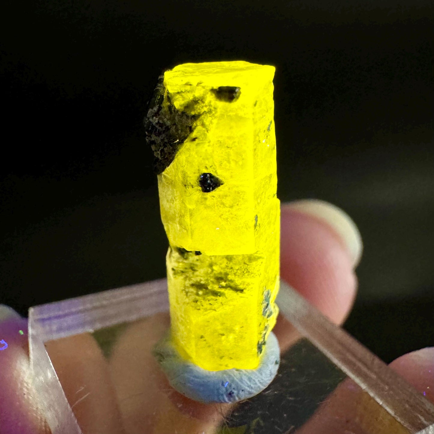 Pink Fluorapatite with Black Tourmaline | UV reactive crystal, rare mineral specimen from Pakistan