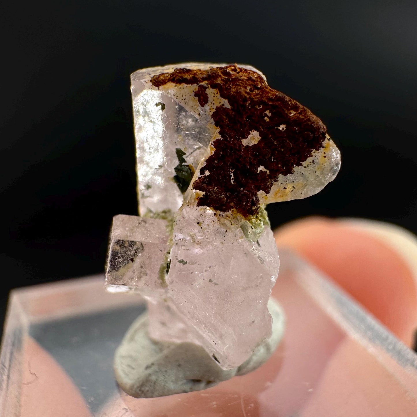 Pink Fluorapatite Crystal | UV reactive Mineral Specimen from Pakistan