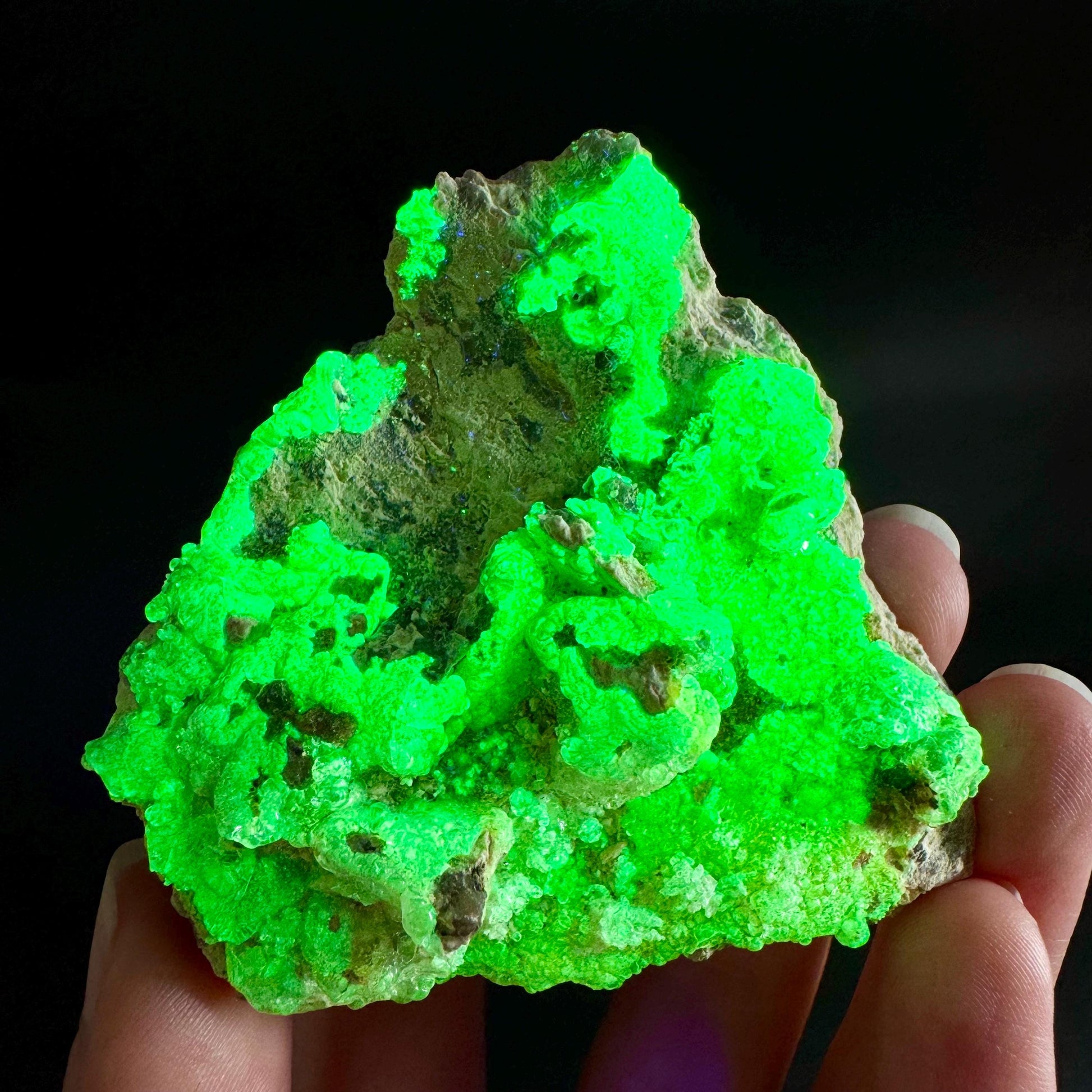Hyalite Opal on Matrix | UV reactive crystal, green fluorescent mineral specimen from Namibia