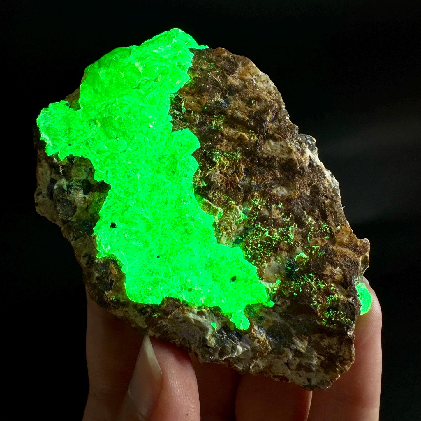 Hyalite Opal on Matrix | UV reactive crystal, green fluorescent mineral specimen from Namibia