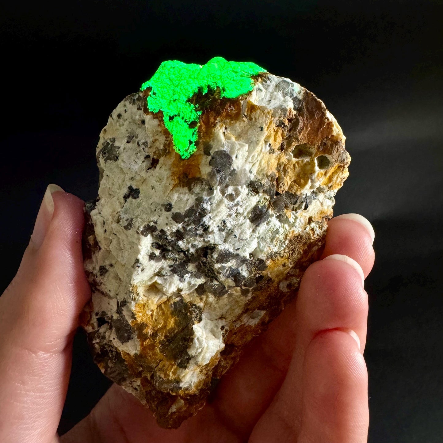 Hyalite Opal on Matrix | UV reactive crystal, green fluorescent mineral specimen from Namibia