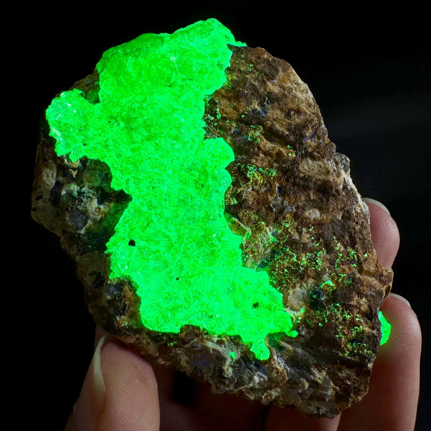 Hyalite Opal on Matrix | UV reactive crystal, green fluorescent mineral specimen from Namibia