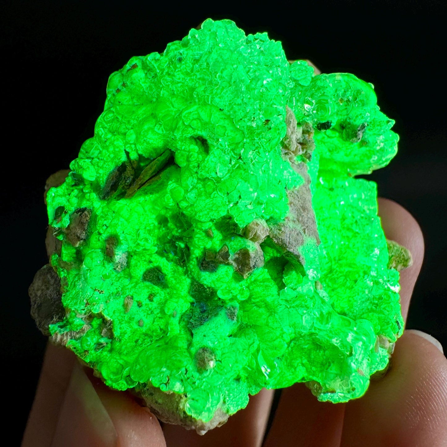 Hyalite Opal on Matrix | UV reactive crystal, green fluorescent mineral specimen from Namibia