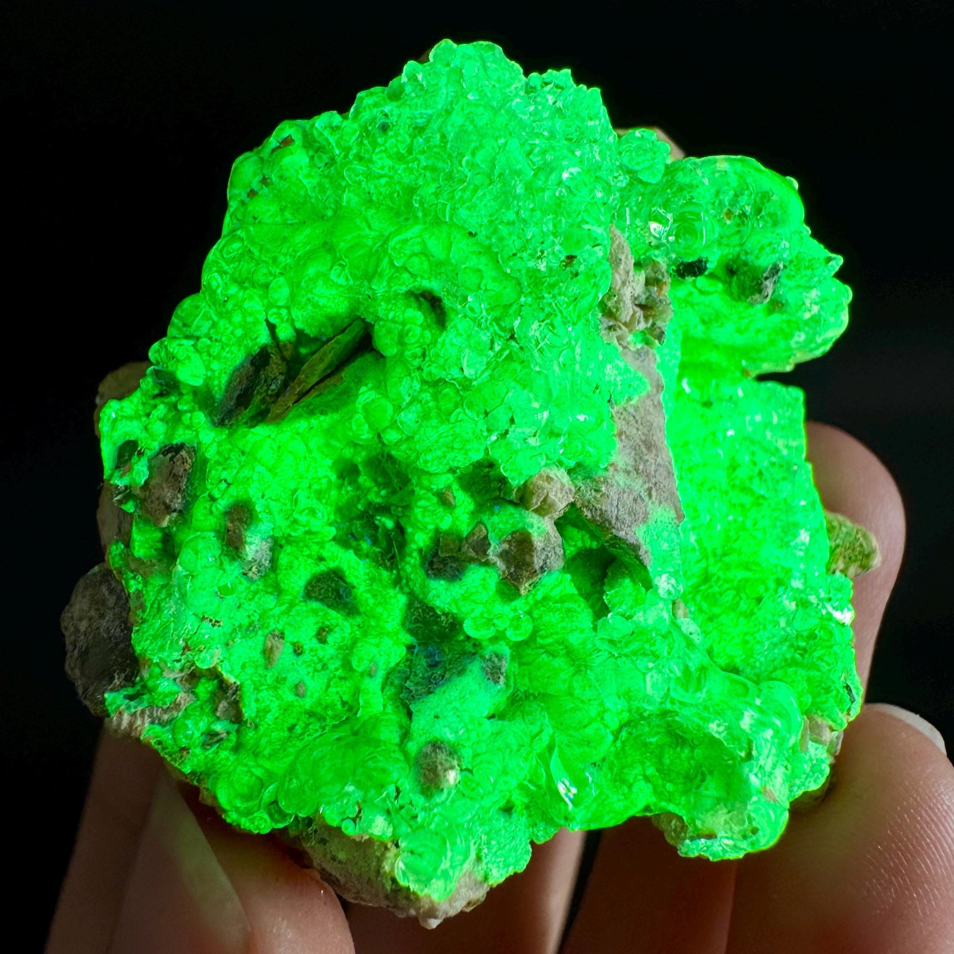 Hyalite Opal on Matrix | UV reactive crystal, green fluorescent mineral specimen from Namibia