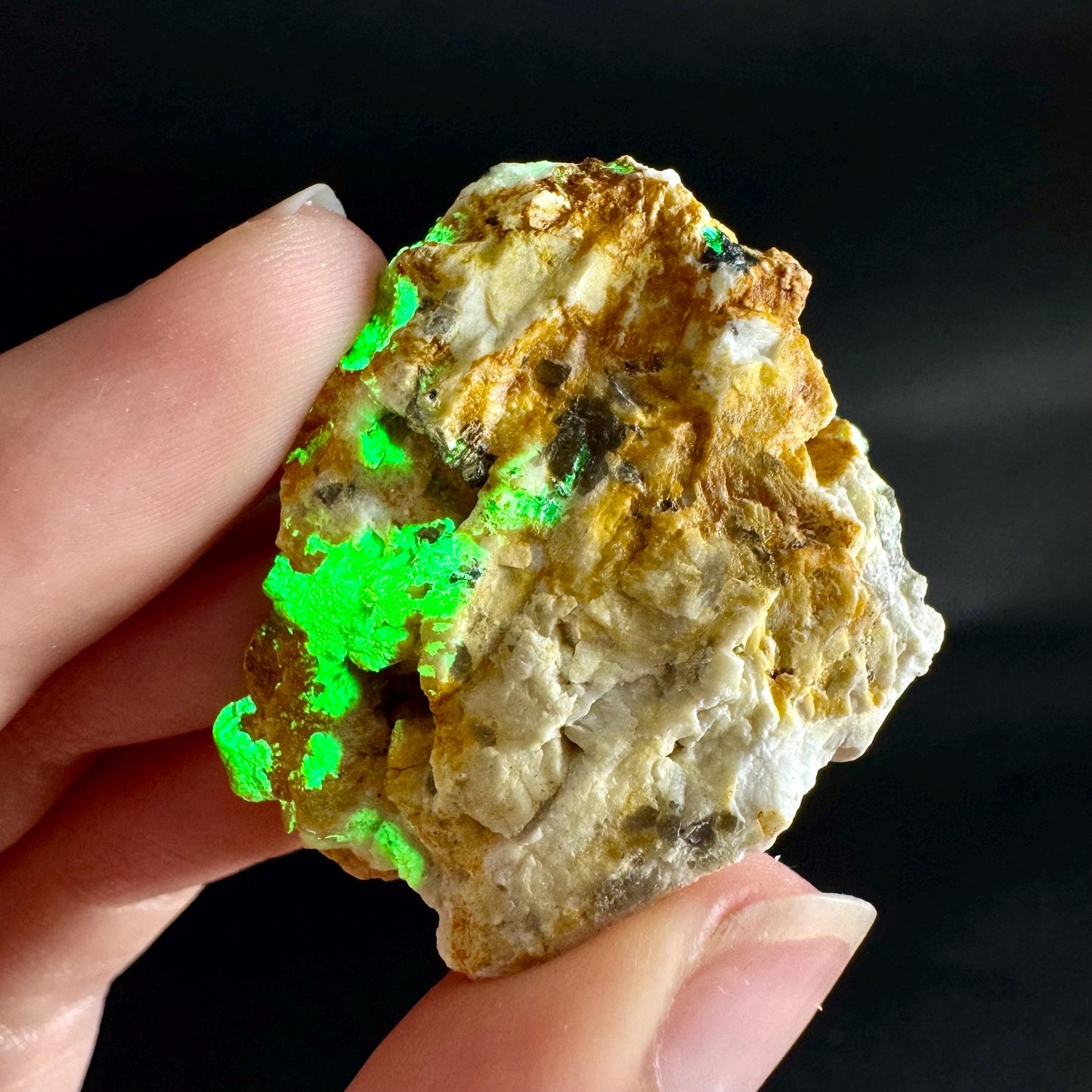 Hyalite Opal on Matrix | UV reactive crystal, green fluorescent mineral specimen from Namibia