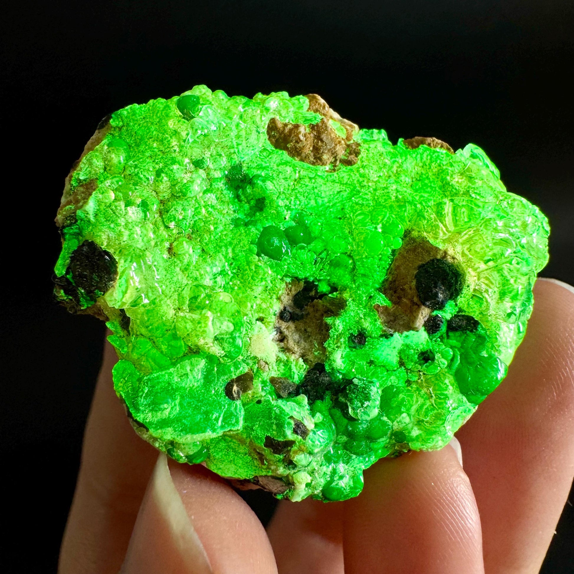Hyalite Opal on Matrix | UV reactive crystal, green fluorescent mineral specimen from Namibia