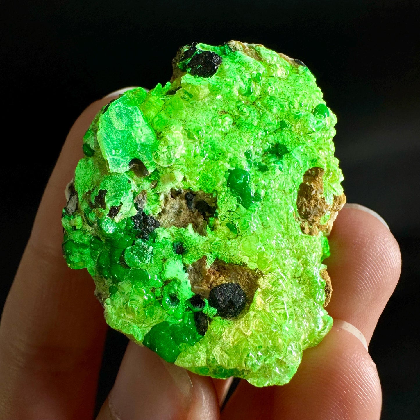 Hyalite Opal on Matrix | UV reactive crystal, green fluorescent mineral specimen from Namibia