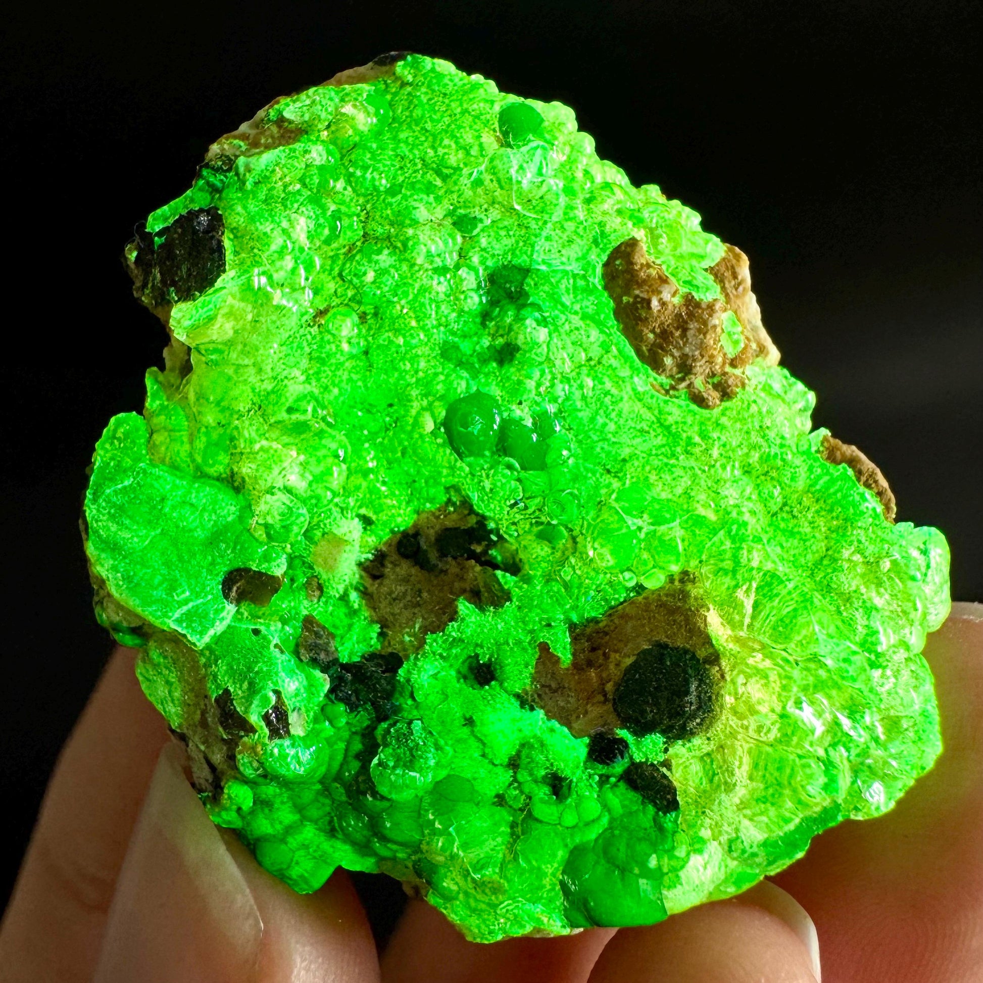 Hyalite Opal on Matrix | UV reactive crystal, green fluorescent mineral specimen from Namibia