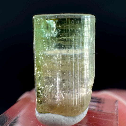 Watermelon Tourmaline | Green & Pink Bi-Color Elbaite Crystal, mineral specimen from Paprok