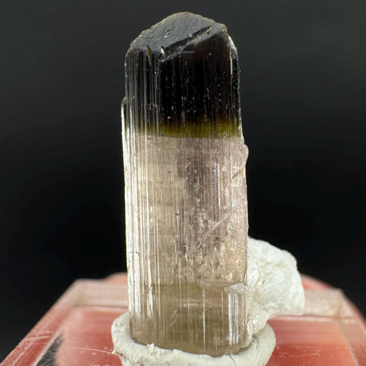 Elbaite Tourmaline | Pink & Green Bi-Color Crystal, mineral specimen from Paprok