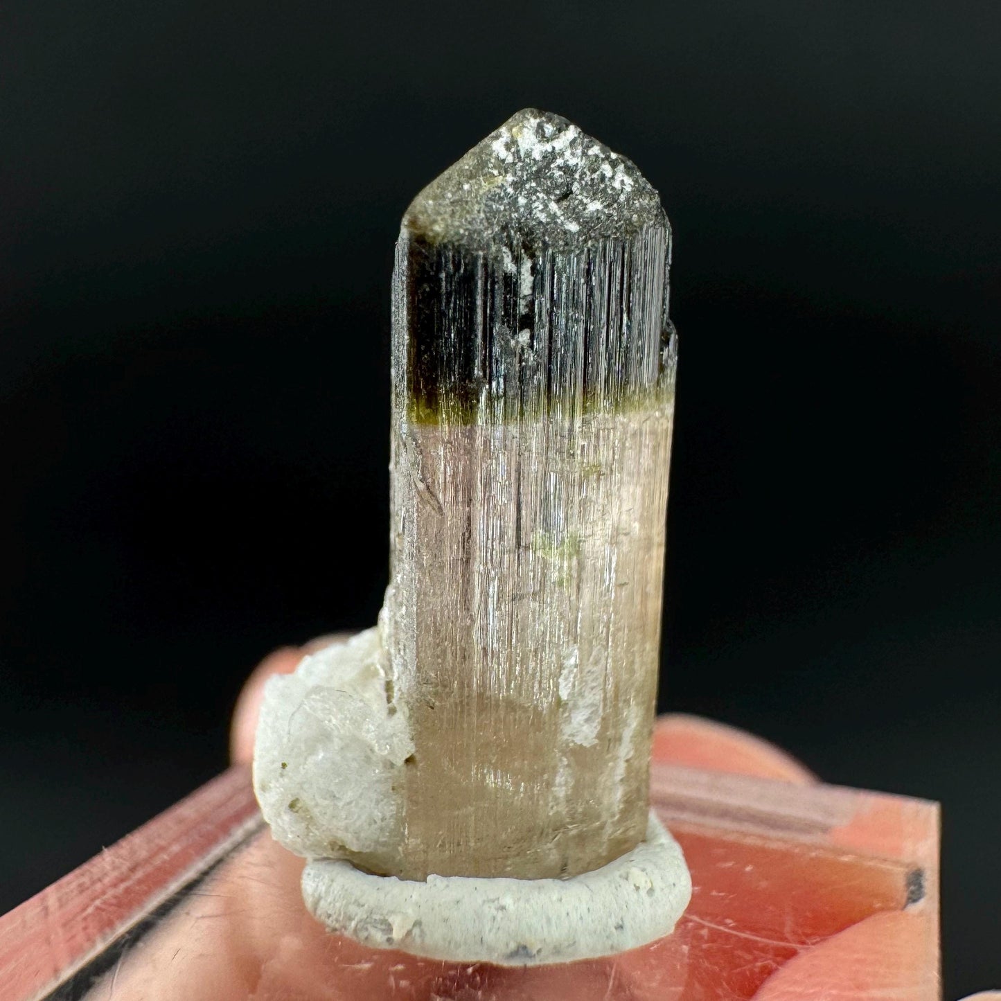 Elbaite Tourmaline | Pink & Green Bi-Color Crystal, mineral specimen from Paprok