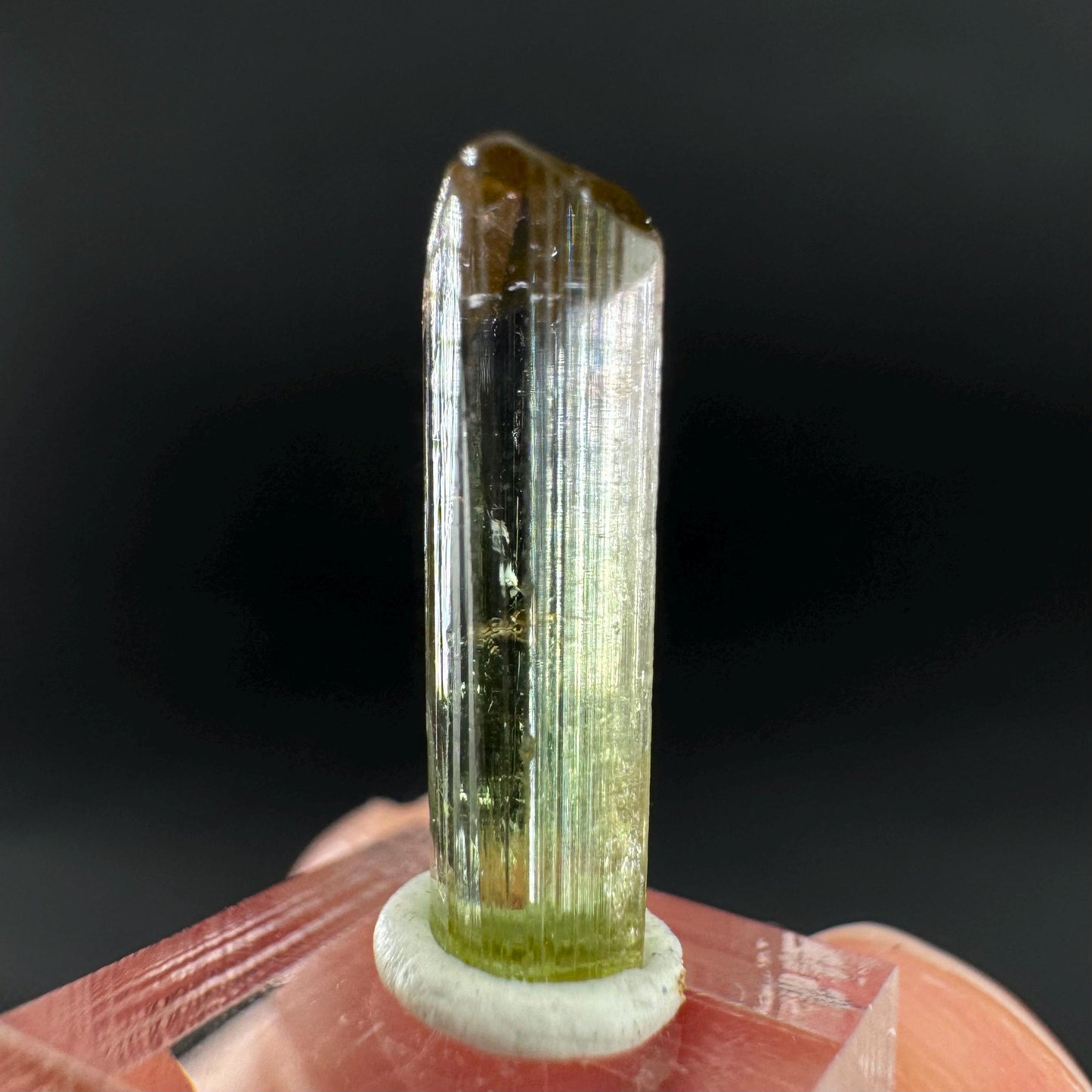Watermelon Tourmaline | Green & Pink Bi-Color Elbaite Crystal, mineral specimen from Paprok