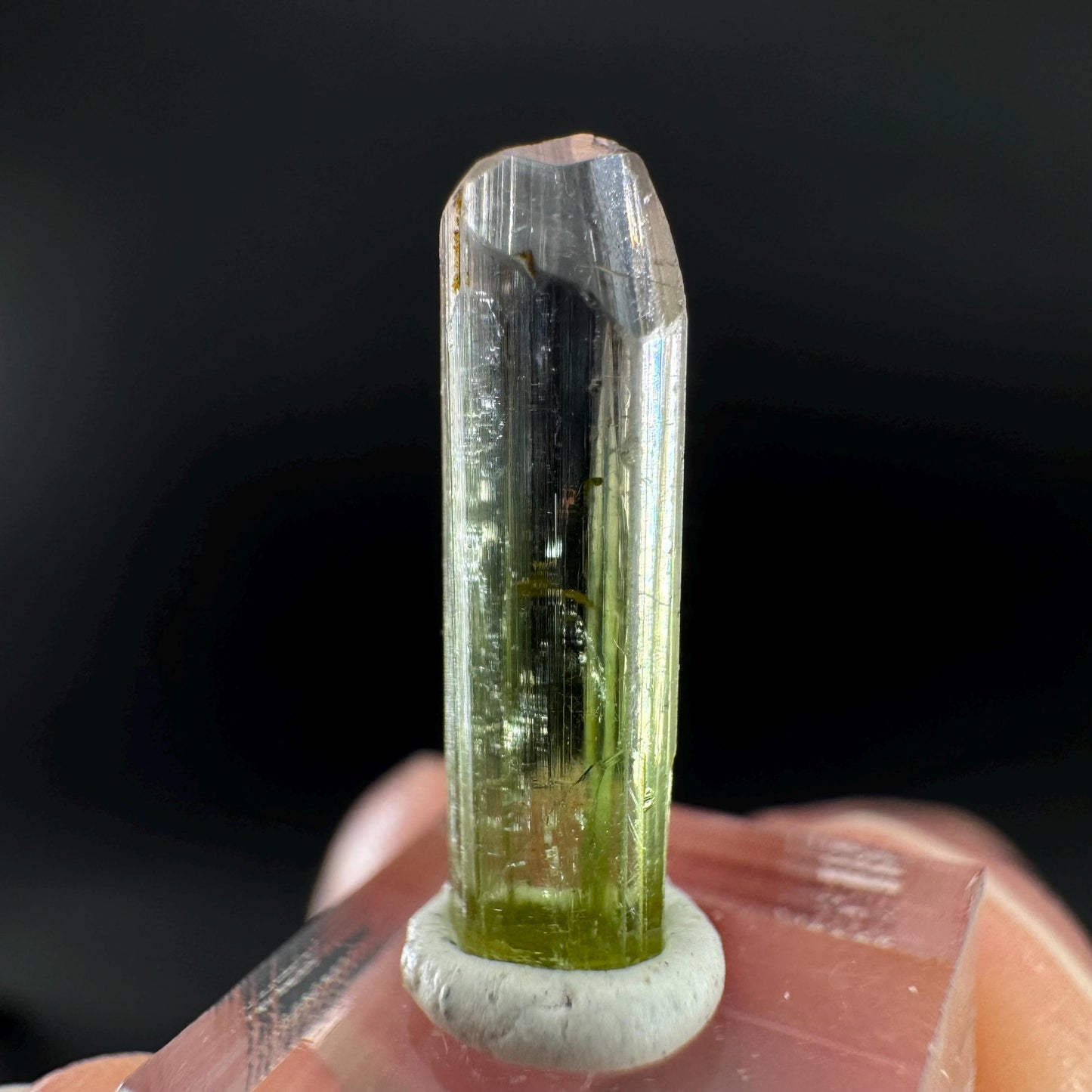 Watermelon Tourmaline | Green & Pink Bi-Color Elbaite Crystal, mineral specimen from Paprok