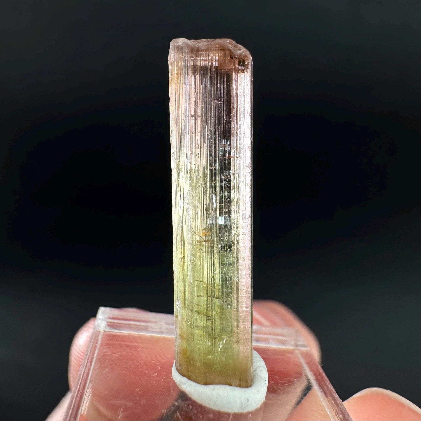 Watermelon Tourmaline | Green & Pink Bi-Color Elbaite Crystal, mineral specimen from Paprok