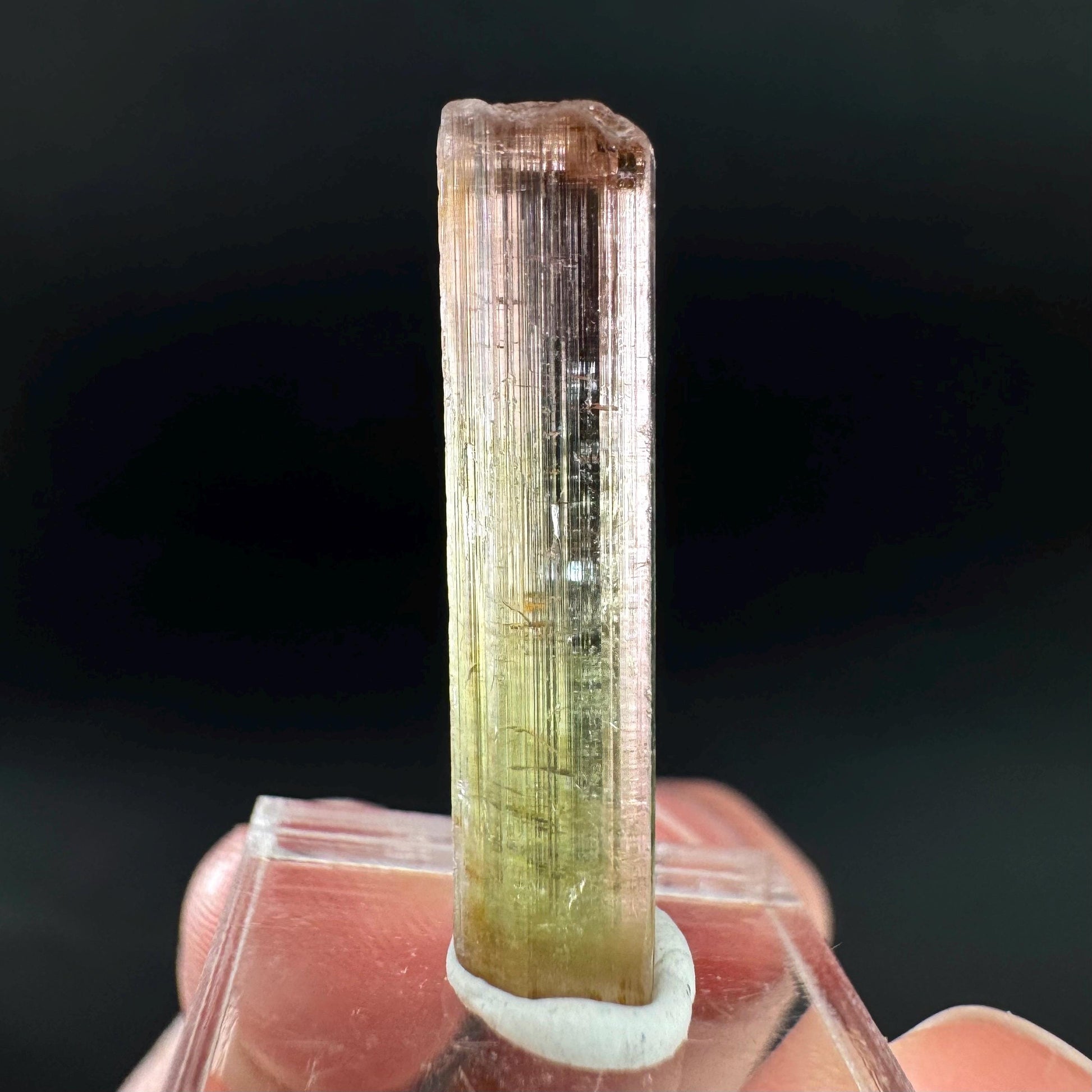 Watermelon Tourmaline | Green & Pink Bi-Color Elbaite Crystal, mineral specimen from Paprok