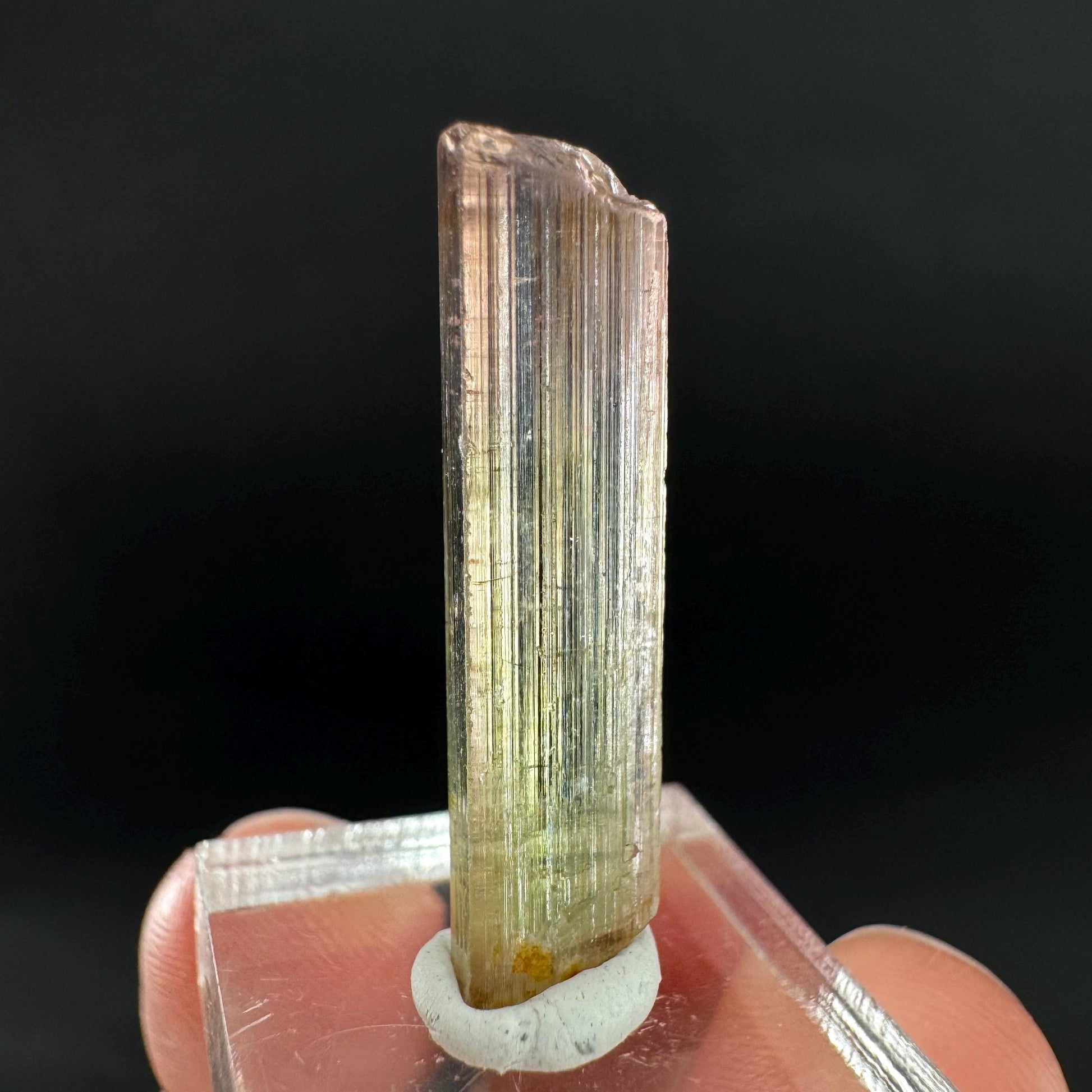 Watermelon Tourmaline | Green & Pink Bi-Color Elbaite Crystal, mineral specimen from Paprok