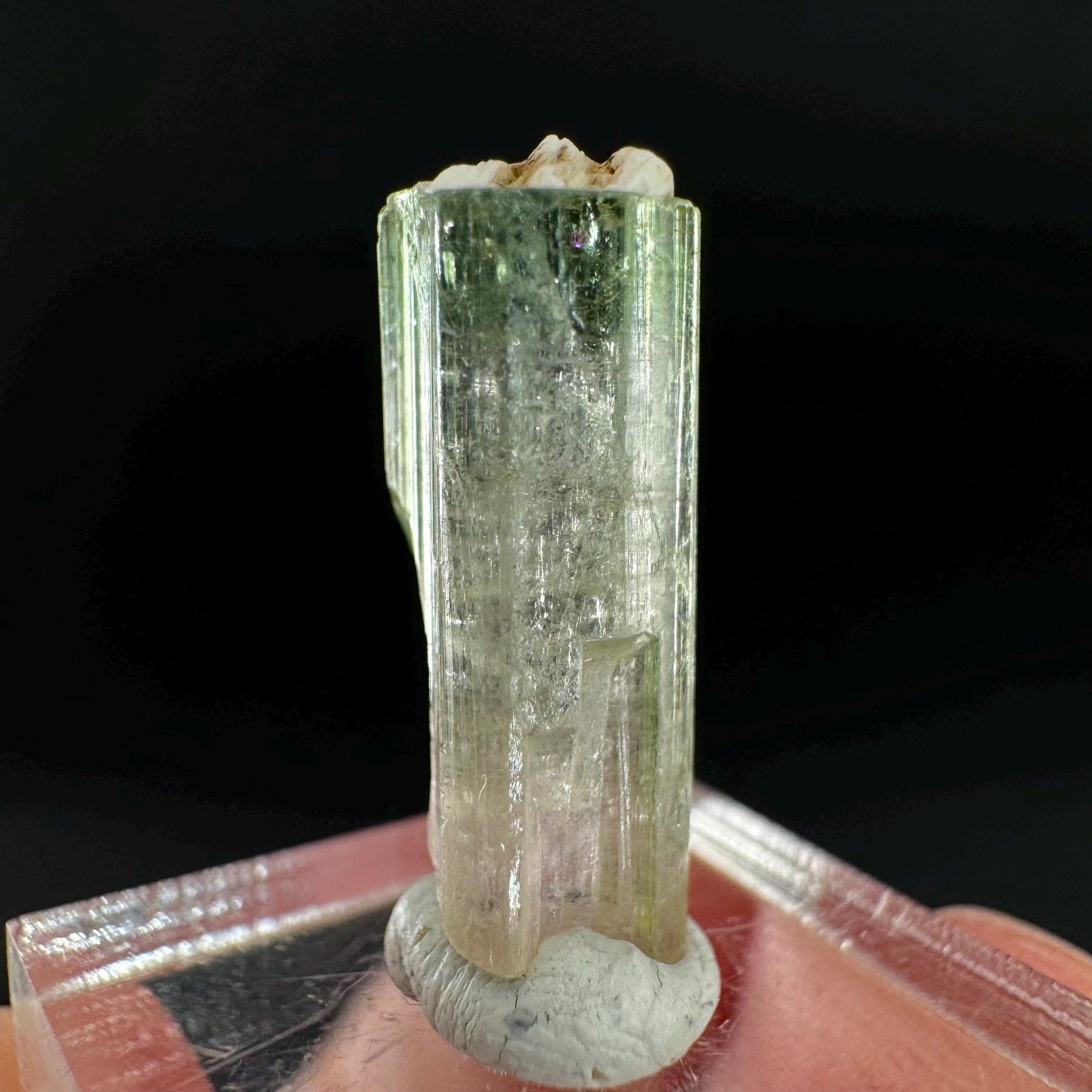 Watermelon Tourmaline | Green & Pink Bi-Color Elbaite Crystal, mineral specimen from Paprok