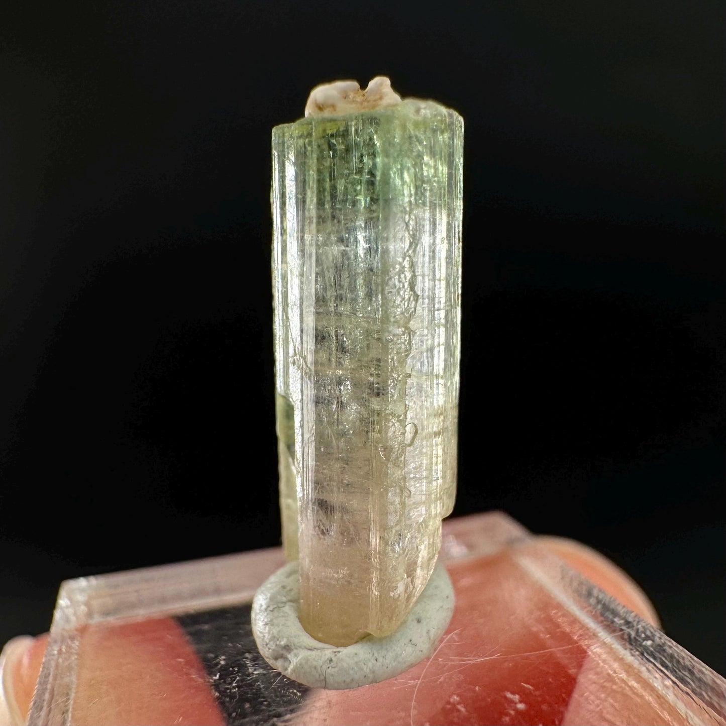 Watermelon Tourmaline | Green & Pink Bi-Color Elbaite Crystal, mineral specimen from Paprok