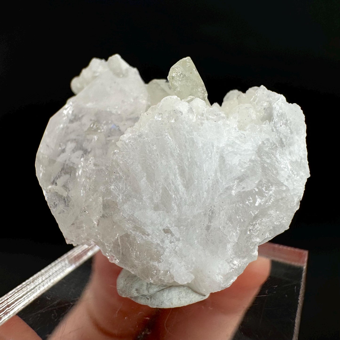Herderite with Quartz on Albite | light green crystal, rare mineral specimen from Pakistan