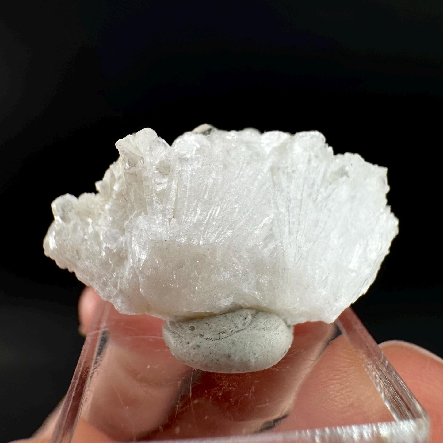 Herderite on Albite Matrix | light green crystal, rare mineral specimen from Pakistan