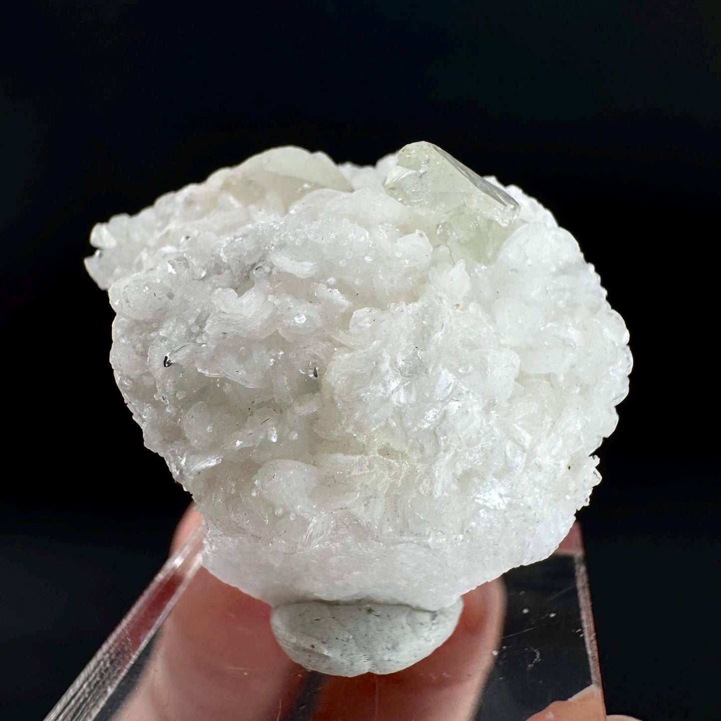 Herderite on Albite Matrix | light green crystal, rare mineral specimen from Pakistan