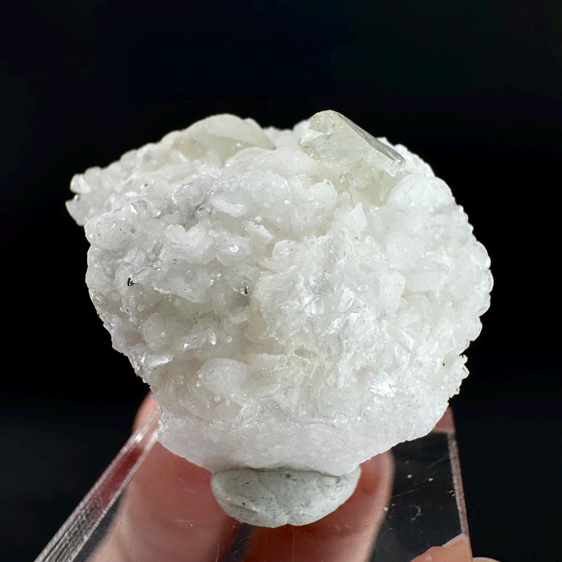Herderite on Albite Matrix | light green crystal, rare mineral specimen from Pakistan